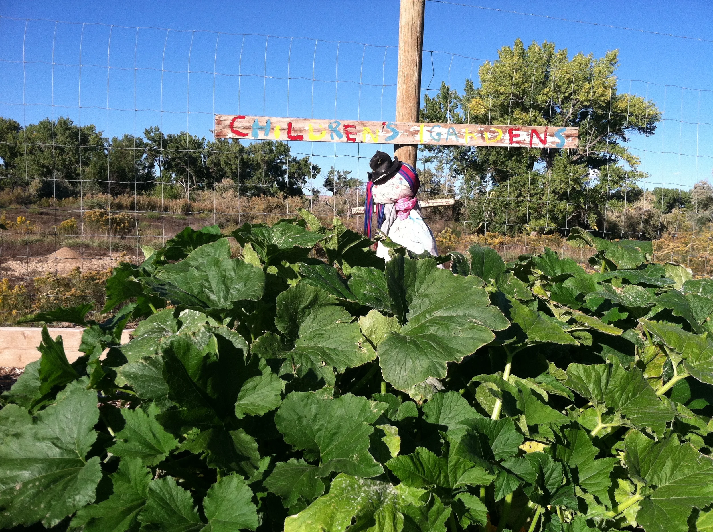 Garden Club 2014-09-26 086.JPG