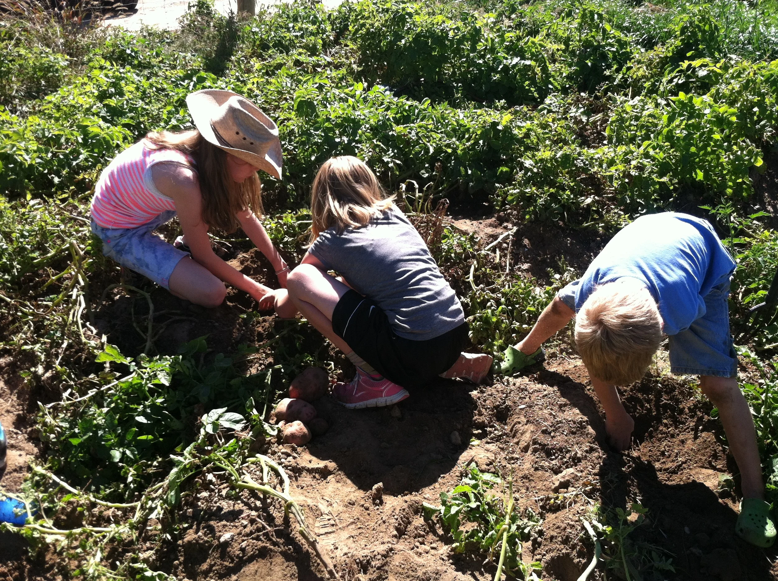 Garden Club 2014-09-26 054.JPG