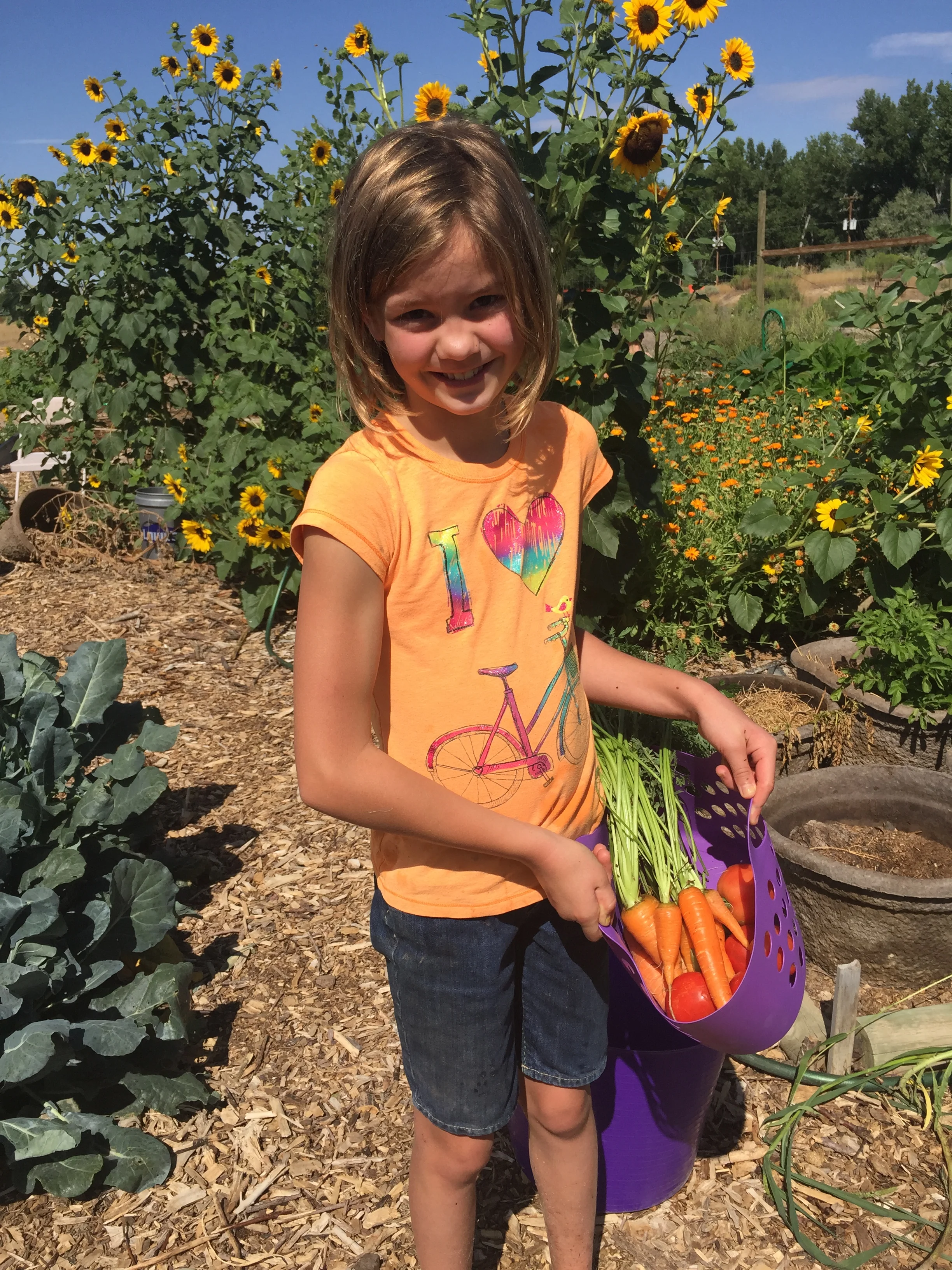 Gardens 2015-08-15 003.JPG