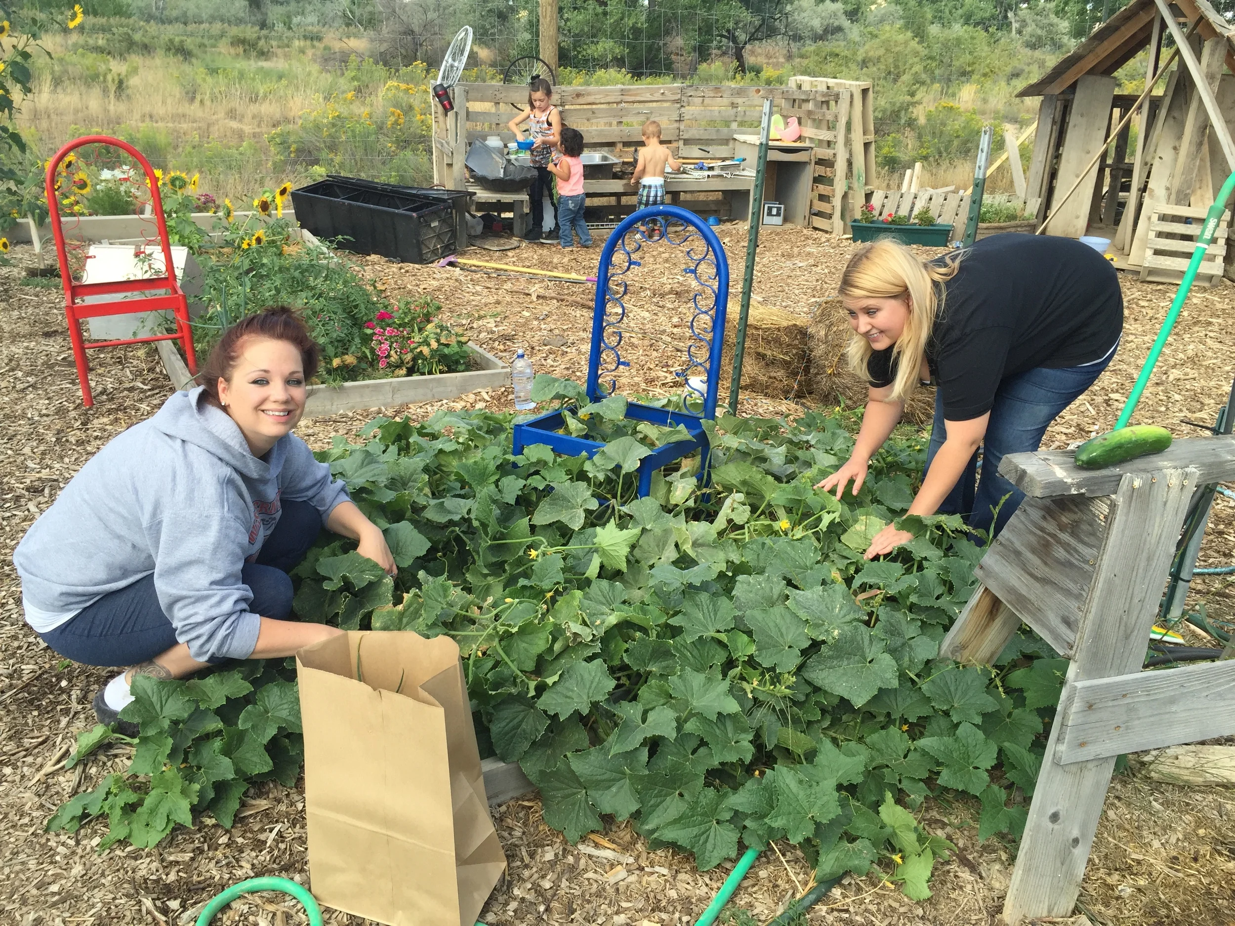 Gardens 2015-09-02 003.JPG