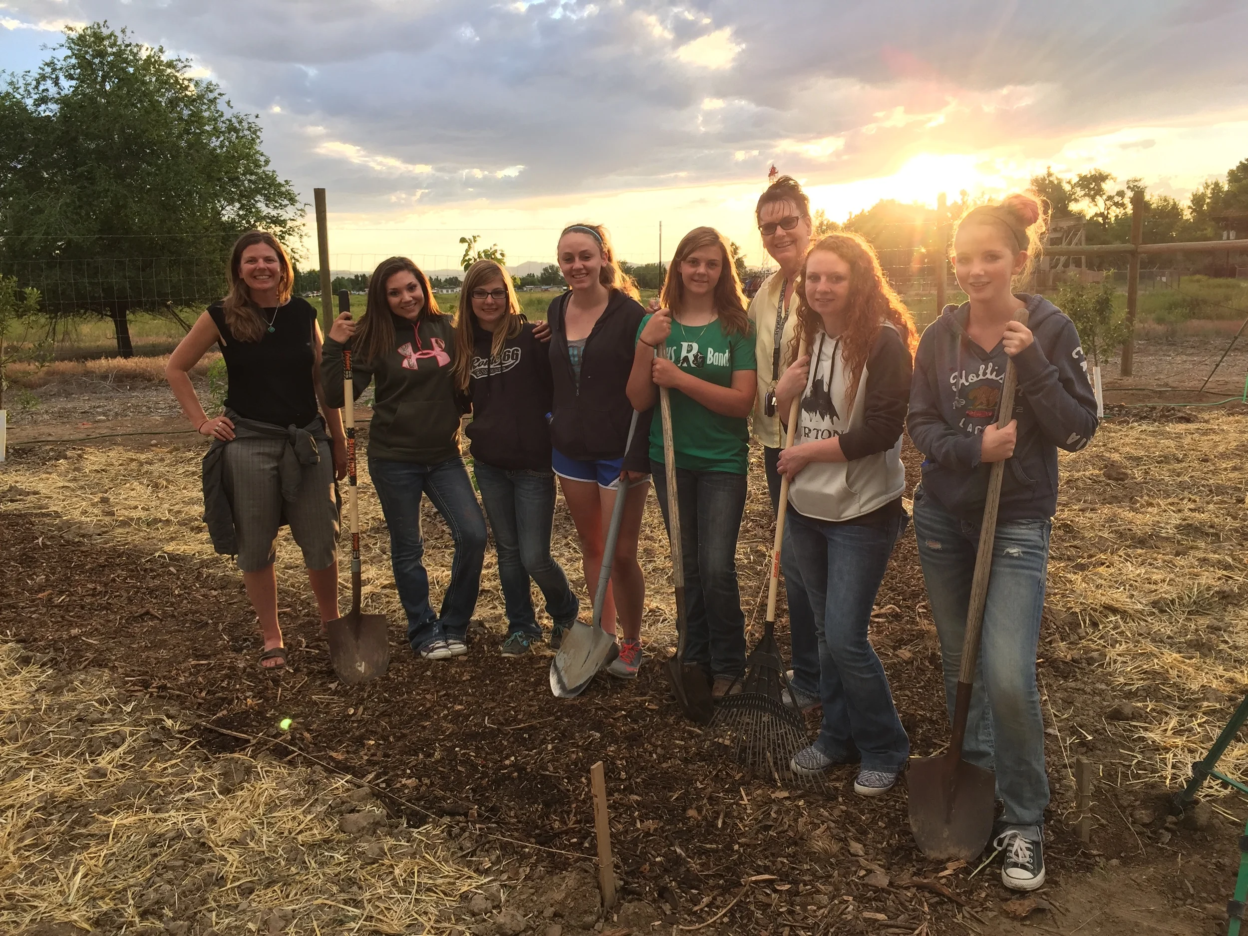 Orchard 2015-06-16 086.JPG