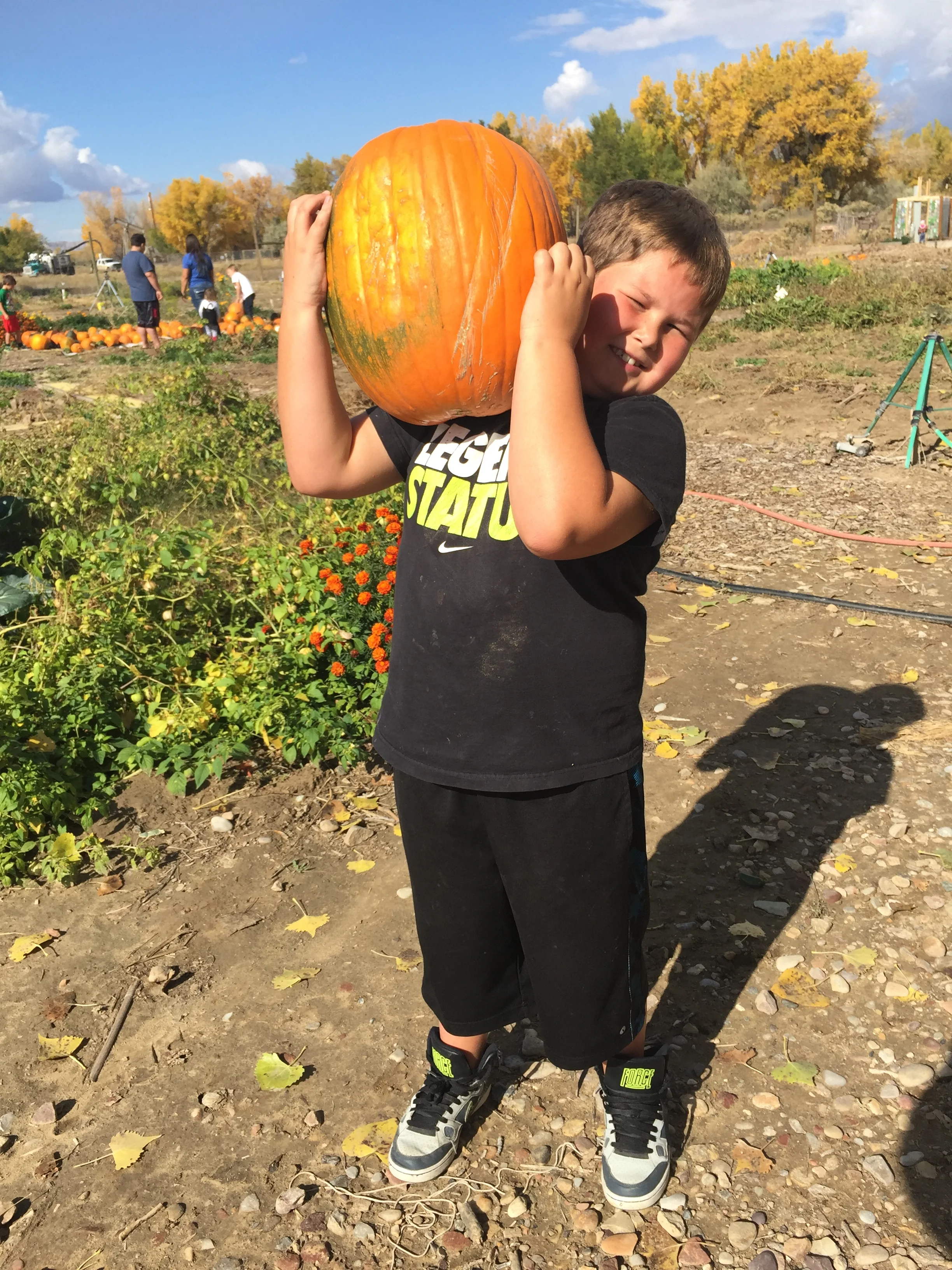 Pumpkins 2015-10-23 041.JPG