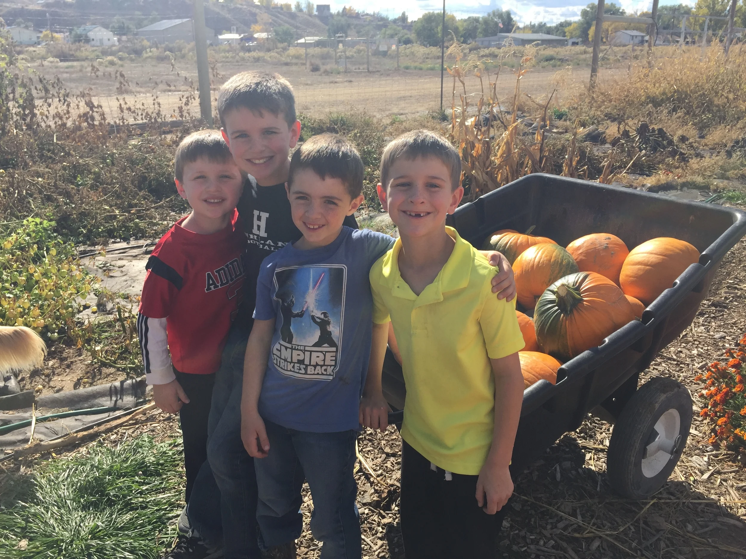 Pumpkins 2015-10-23 121.JPG