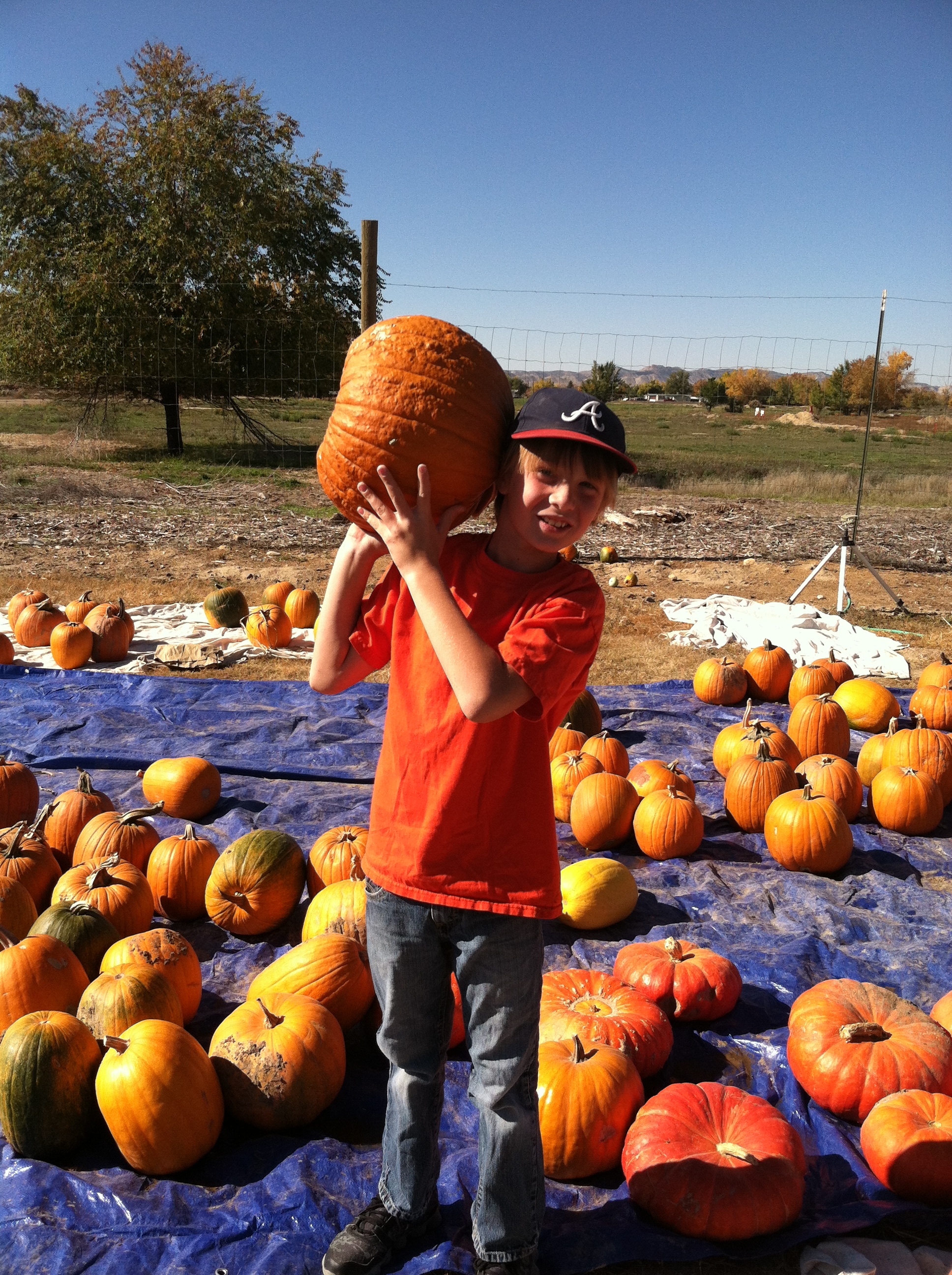pumpkins and leadertrek 2014-10-25 043.JPG