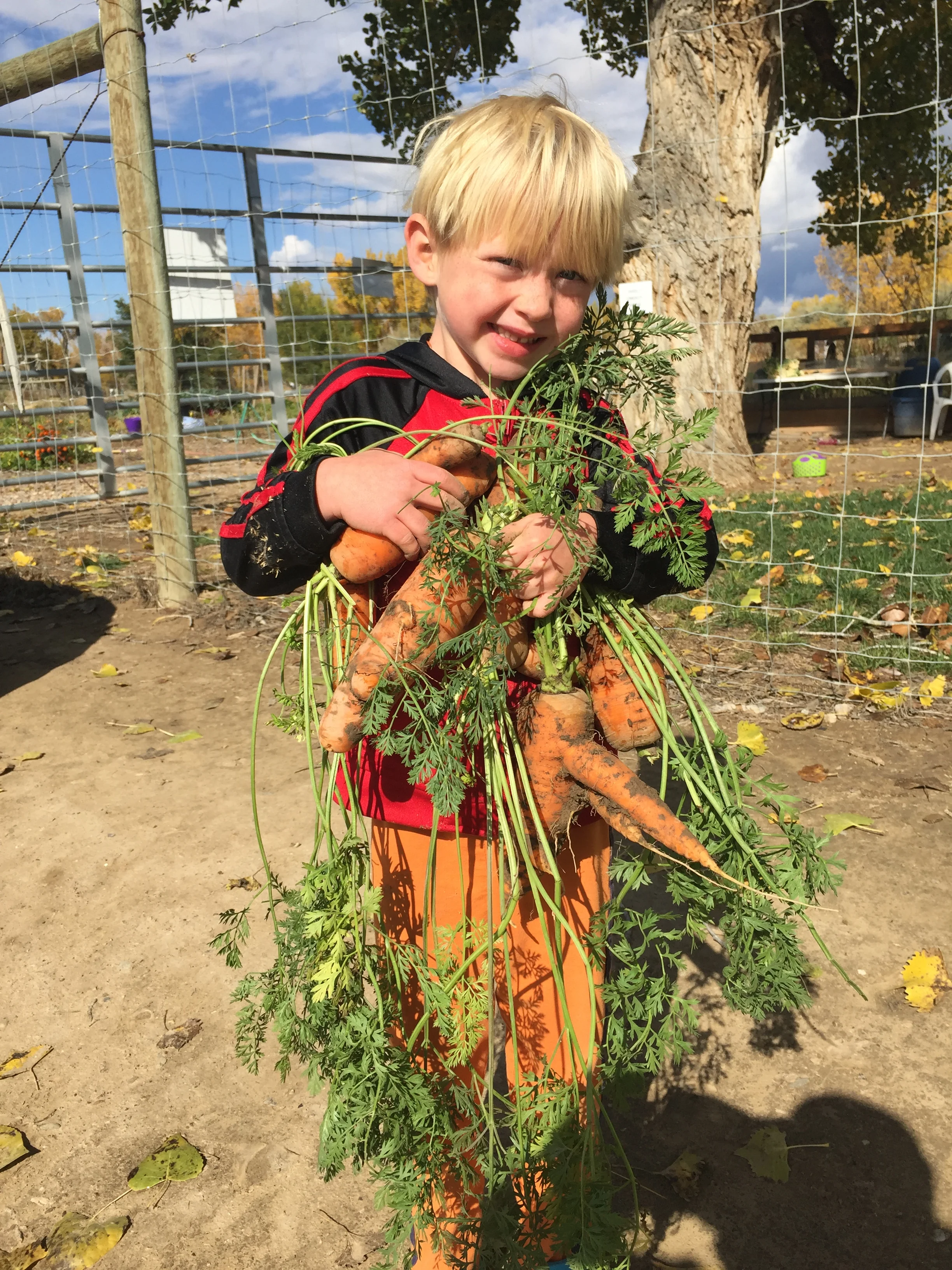 Pumpkins 2015-10-23 039.JPG