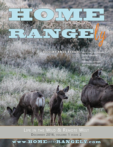 HOMEontheRANGELY_I1V2_cover_sm.jpg