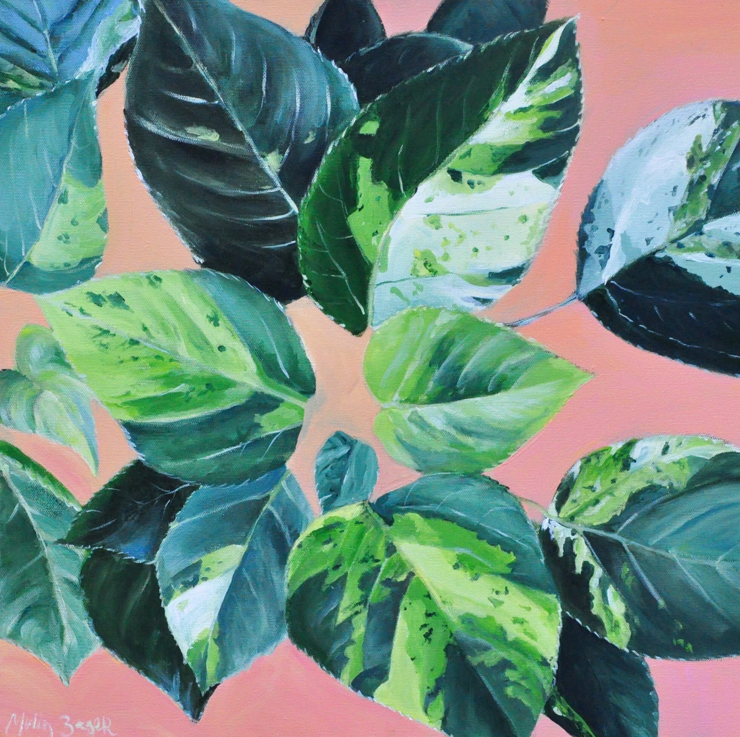 pinkandgreencuracao.jpg