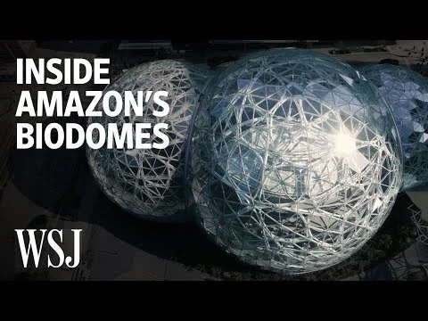 Inside Amazon's Spheres, the Biodome Office in Seattle
