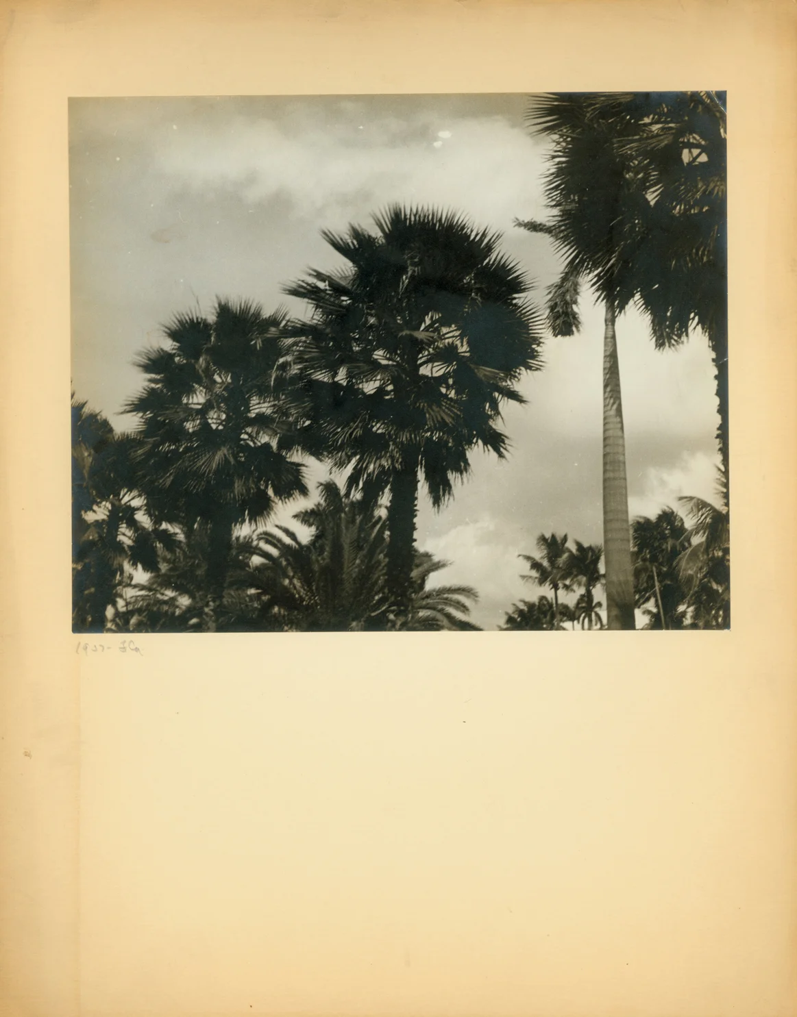 Hialeah, Florida