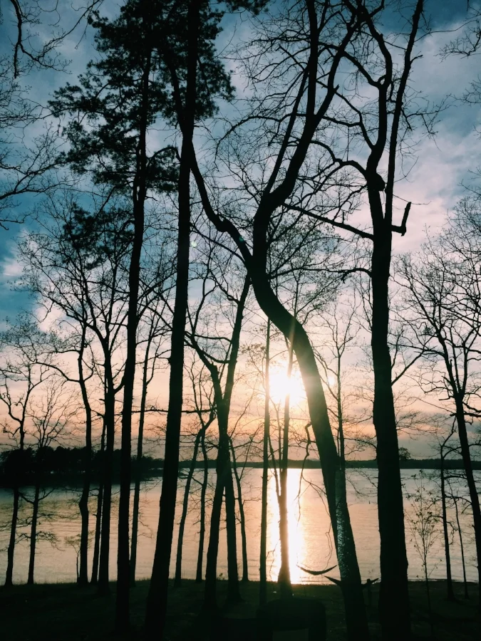 lake lanier old federal campground at sunset, sunset coming through trees on the lake, georgia summer