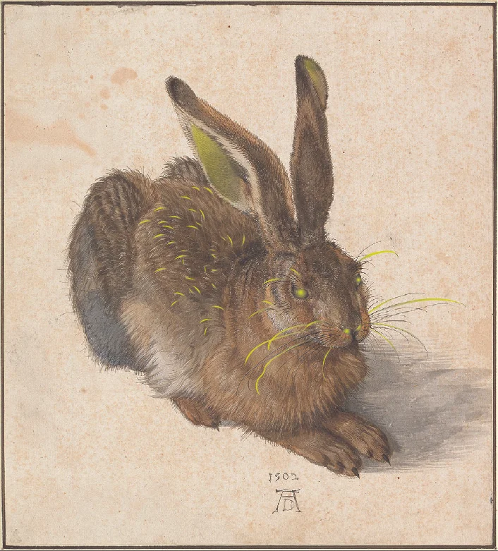 Durer_SaveTheDateRadioactiveRabbit.jpg
