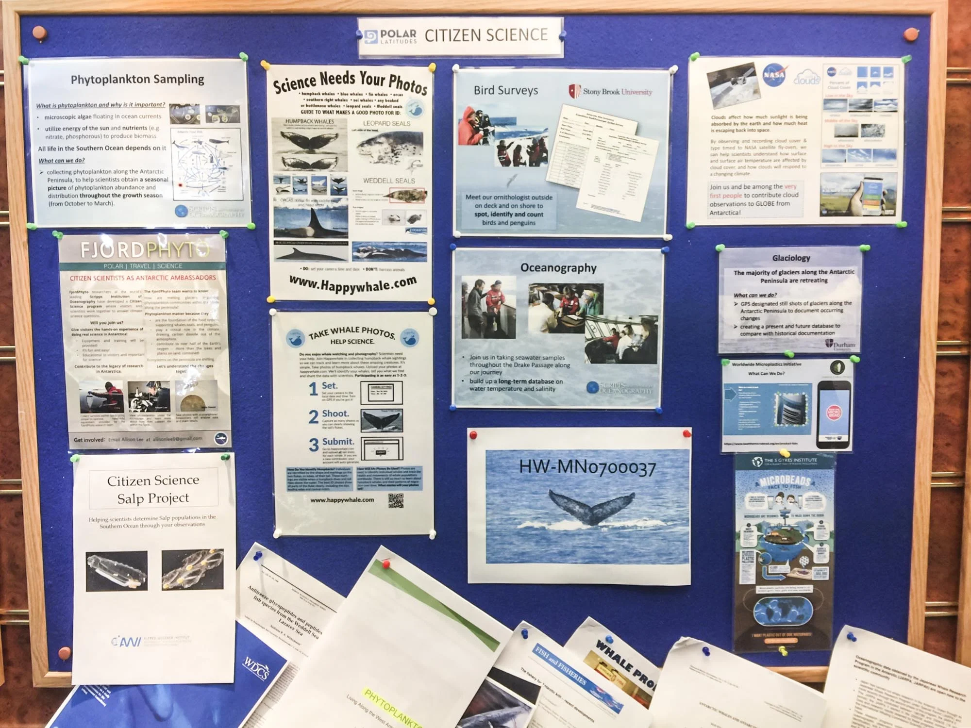 The Citizen Science Board on Hebridean Sky, operated by Polar Latitudes