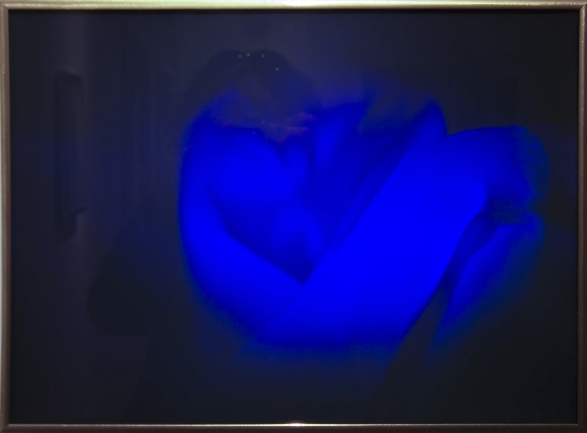 Renata (1994) reflection hologram
