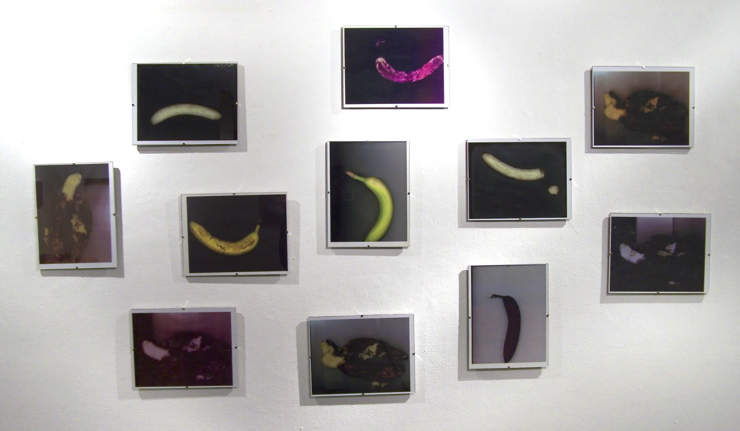 11 Bananas (2004 - 2005) digital prints