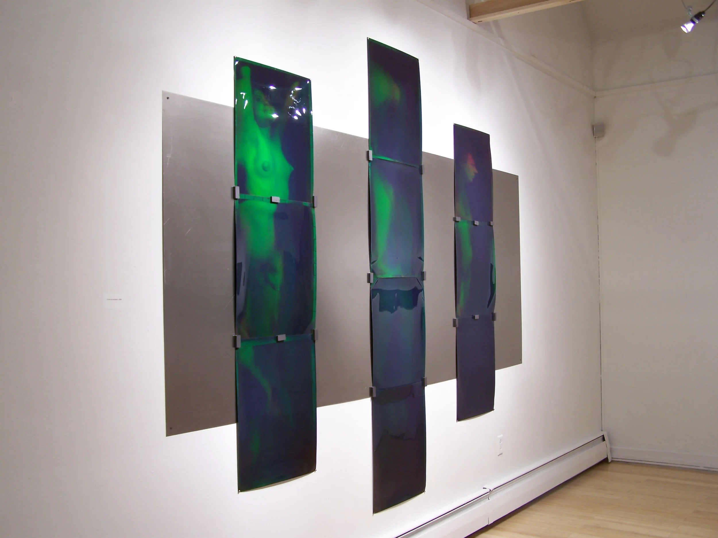 To Van Eyck and Bosch , 2004 ten reflection holograms on metal 96" x 120"