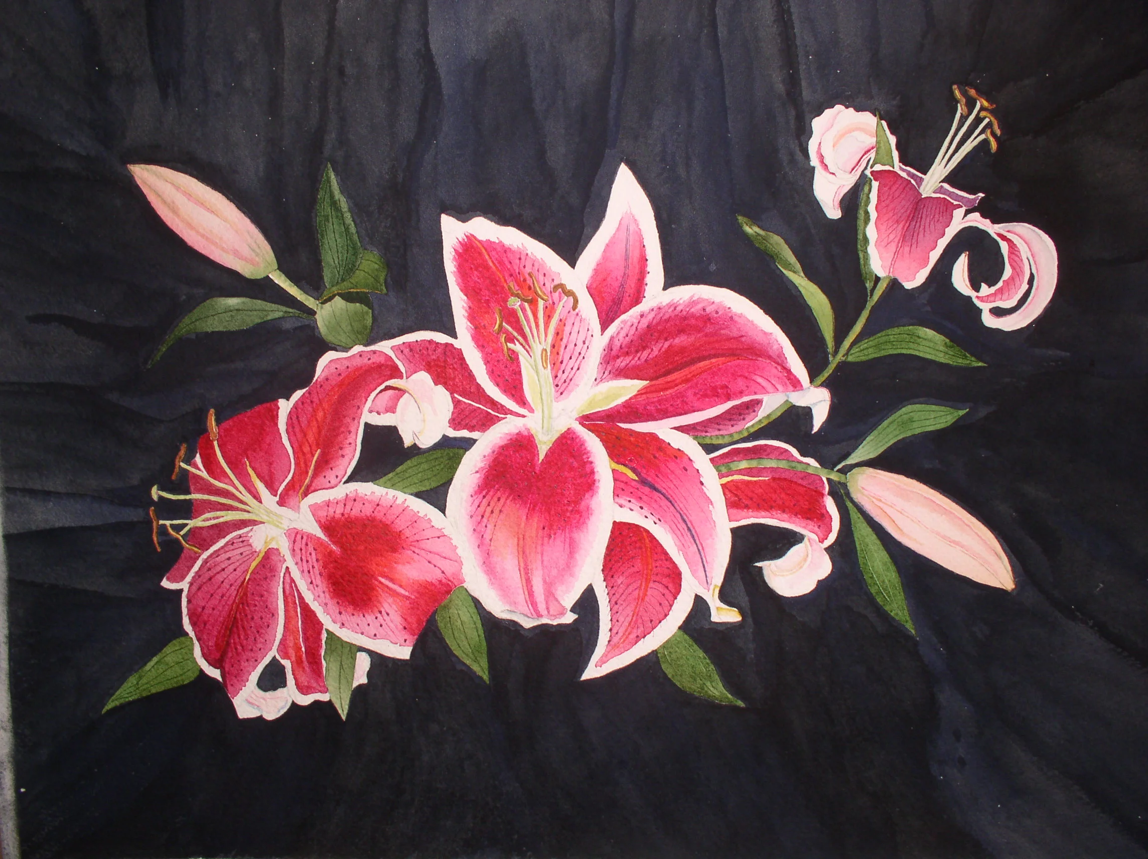 Stargazers-1.JPG