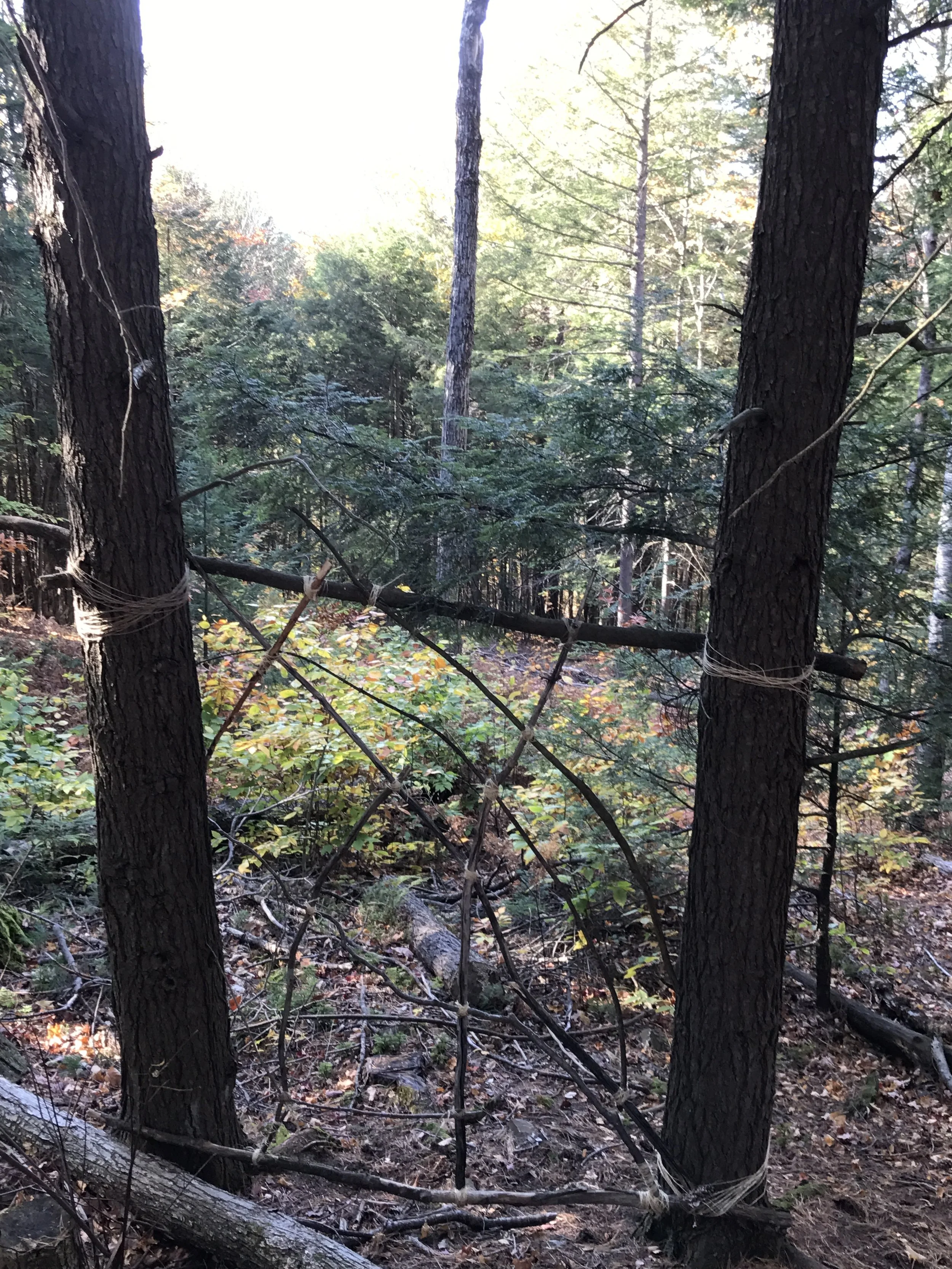 2017-10-21 14.49.55.jpg