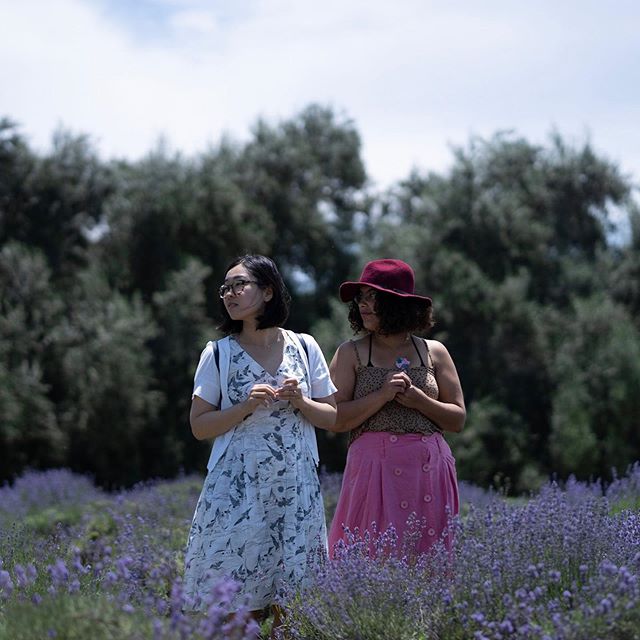 I must admit, I was tired of the lavender smell at the end of the day. #lavenderfestival @123farmorganics