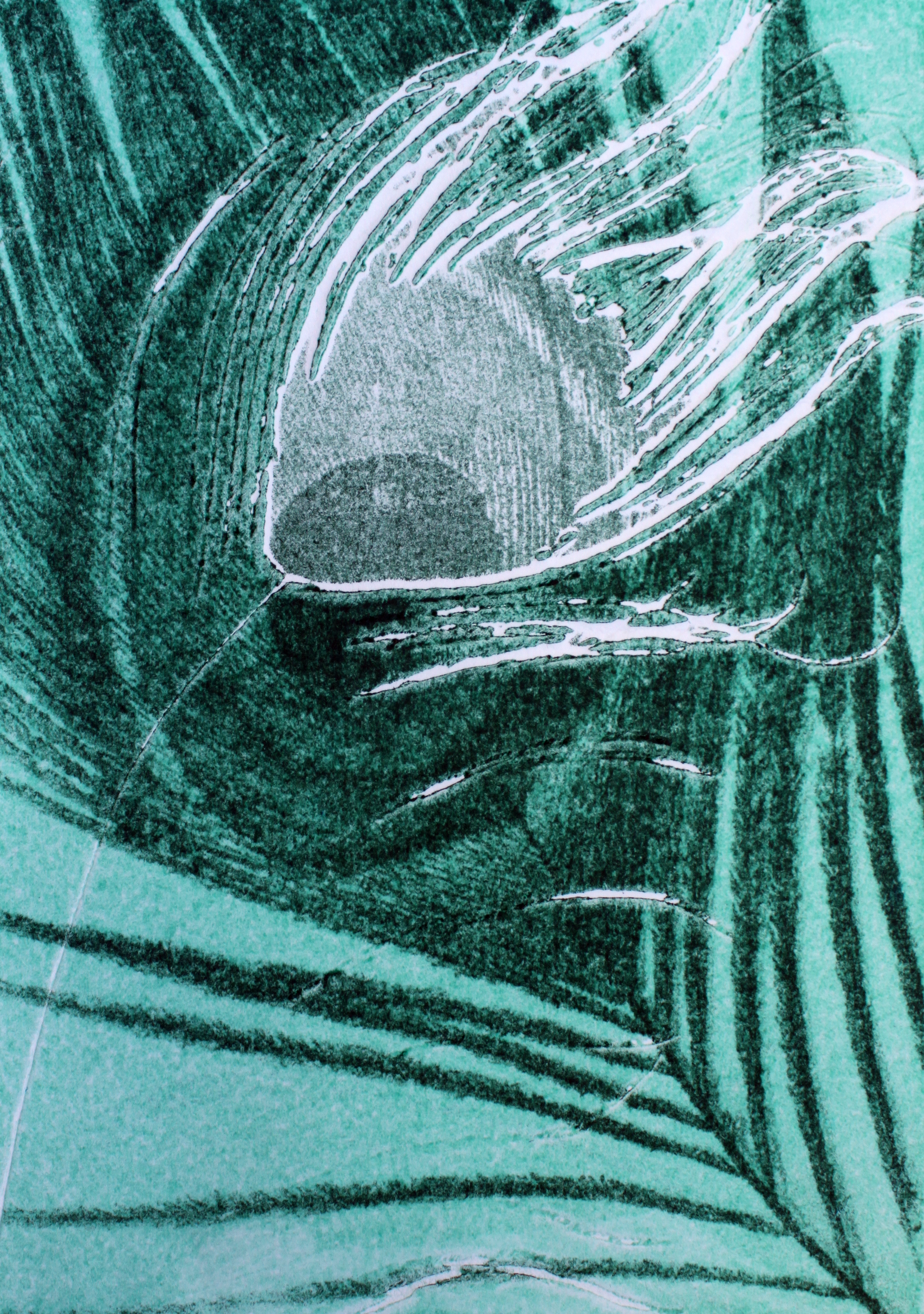 Here's looking at you.jpg