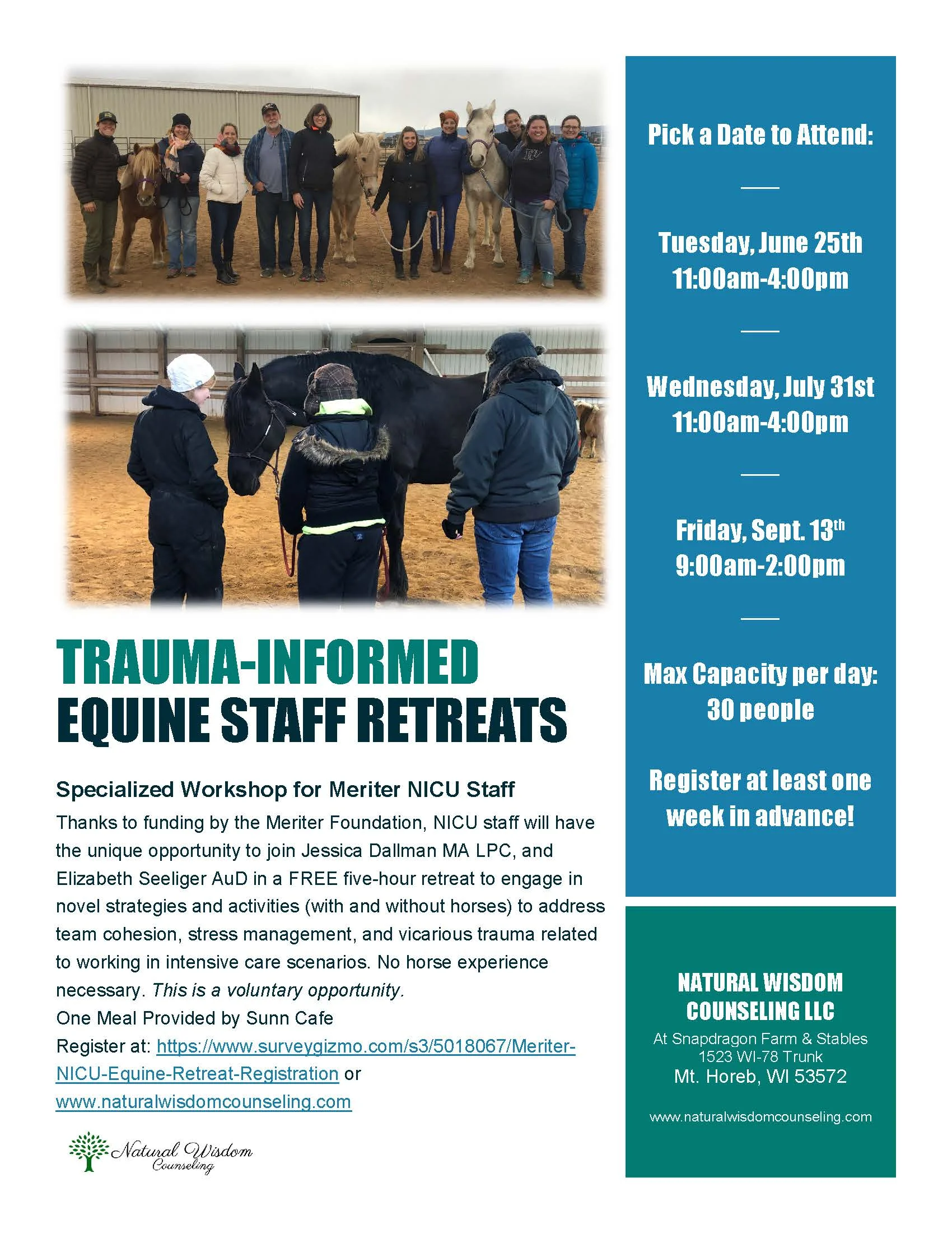 Meriter Equine Flyer.jpg