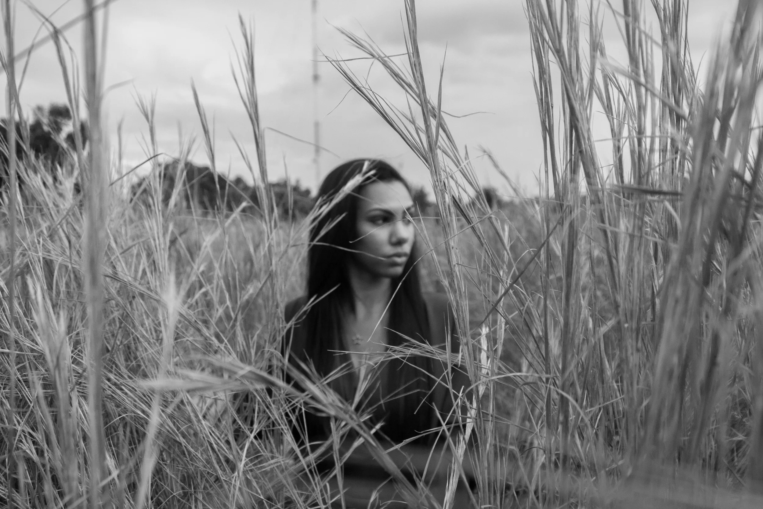 Sierra sightseeing-2.jpg