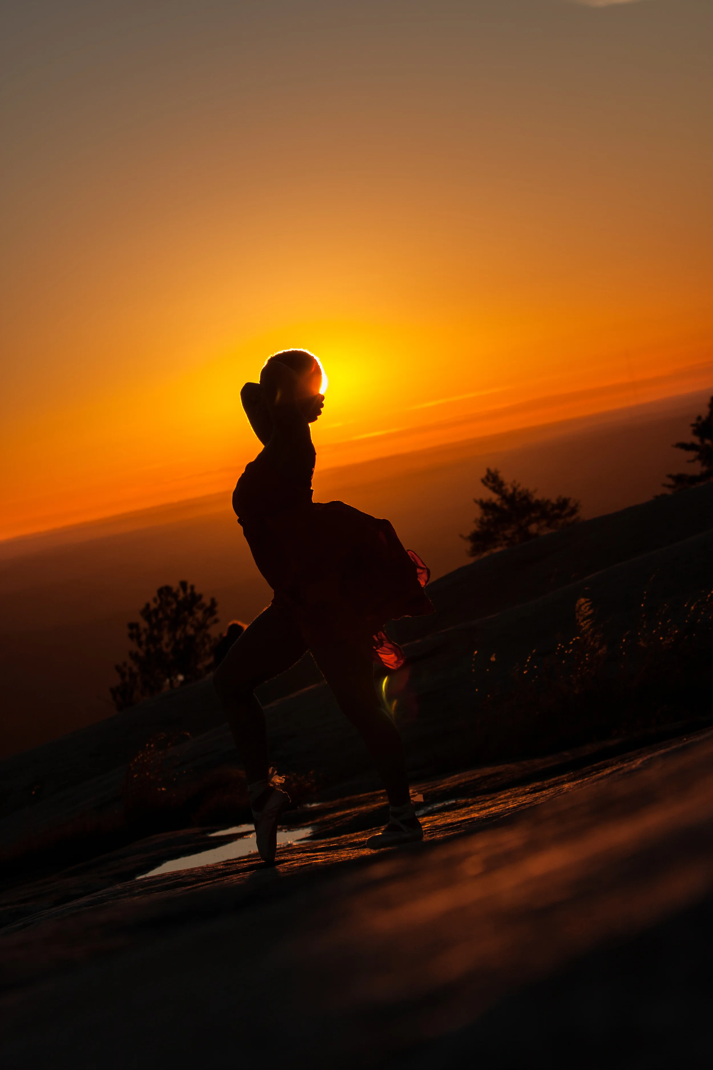 sierra natures rhythm-2.jpg