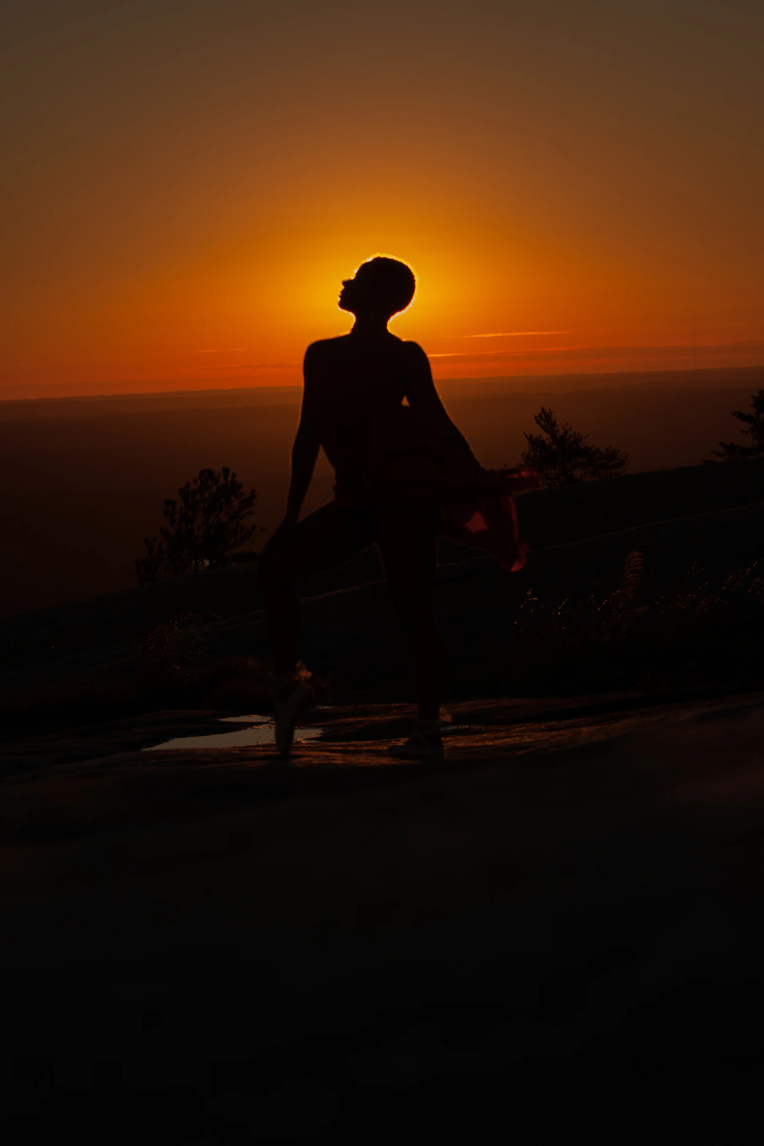 sierra natures rhythm-3.jpg