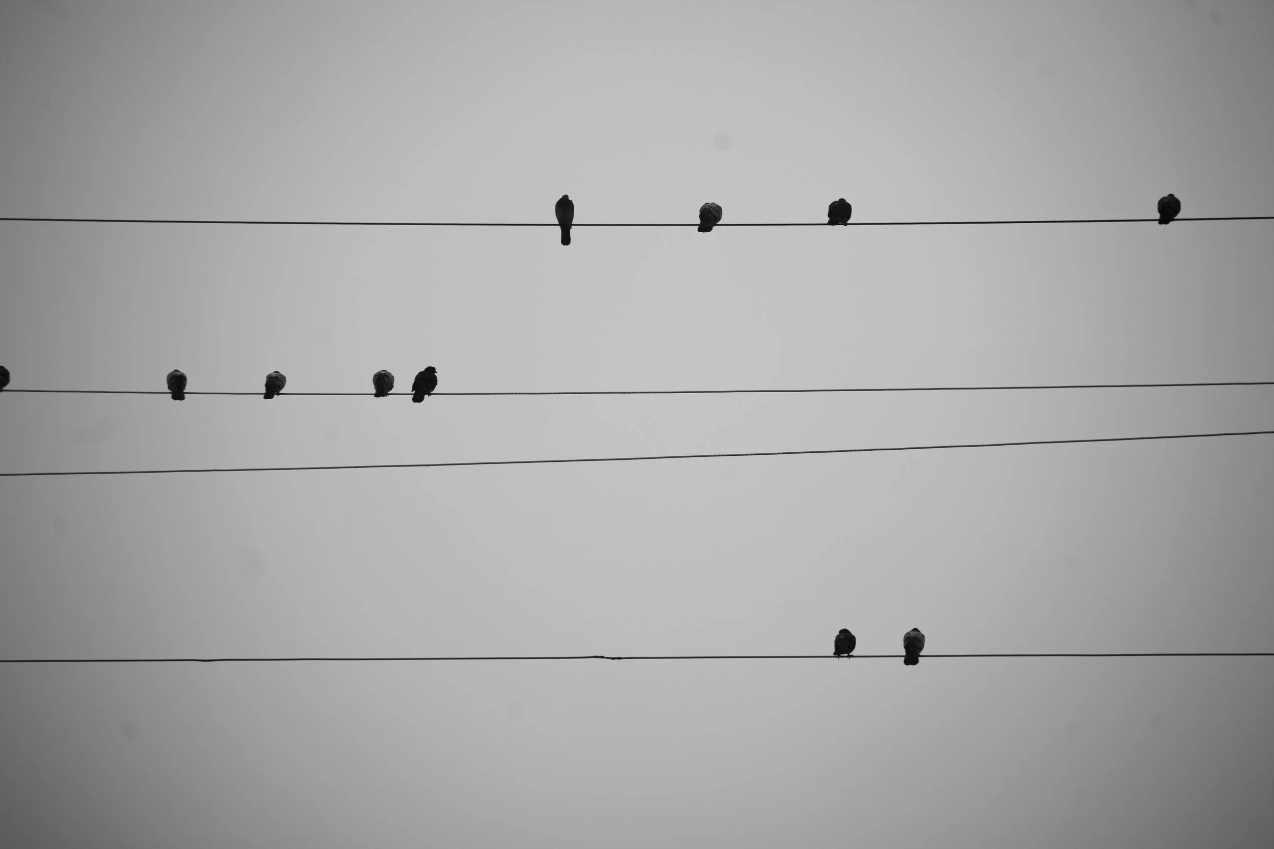 downtown b&w-65.jpg