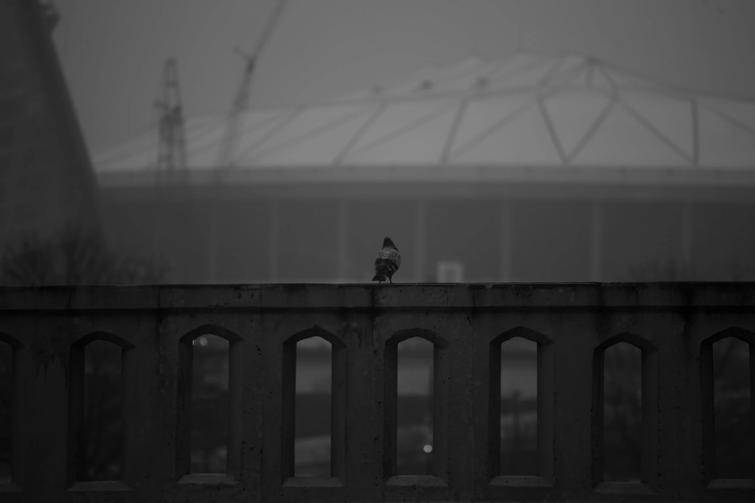 downtown b&w-71.jpg