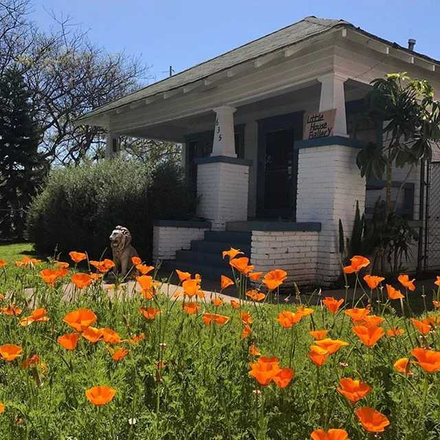 spring poppies in full effect! #tiethatbinds #gardeninstall #poppies #littlehousegallery
