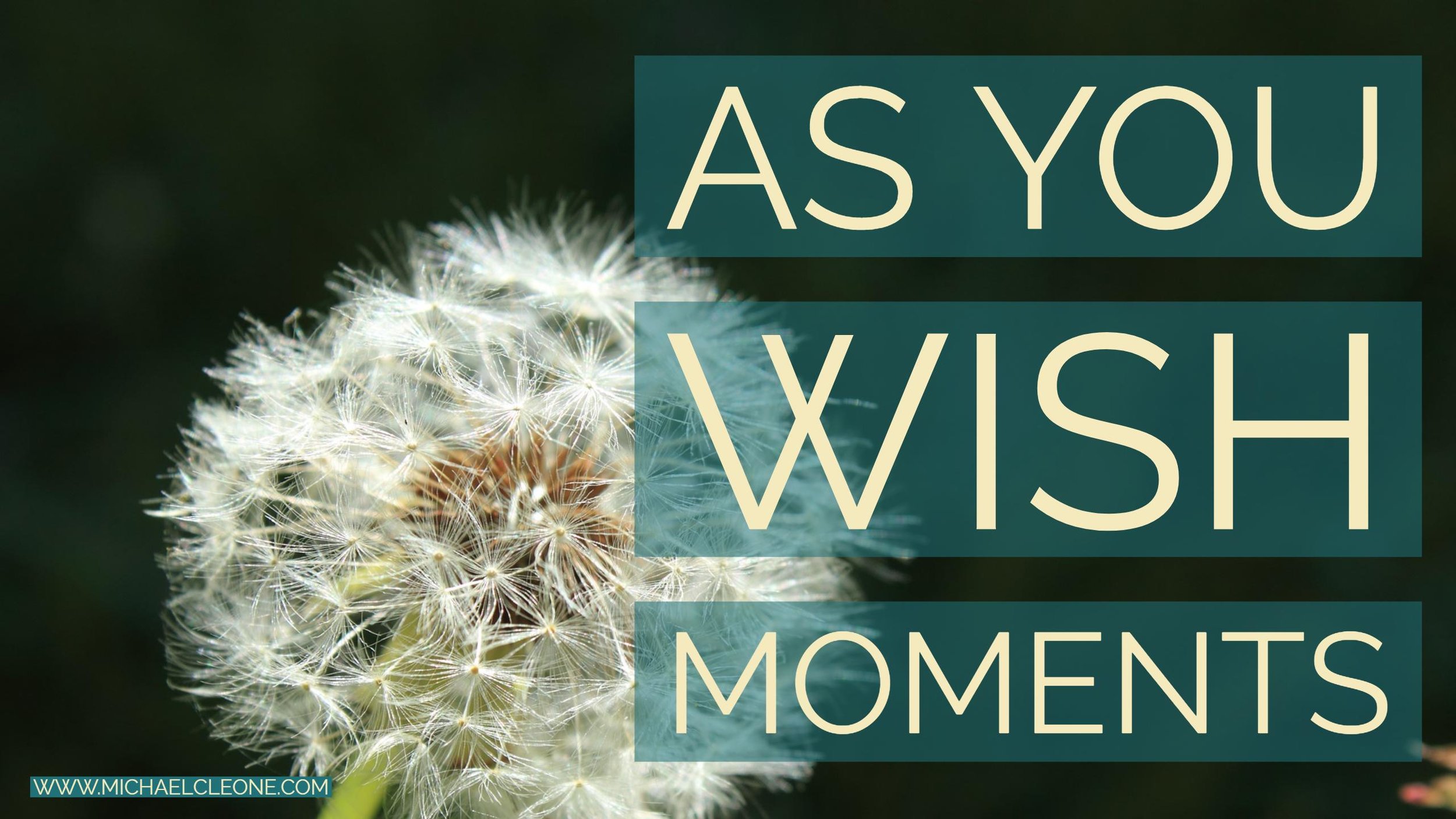 As You Wish Moments