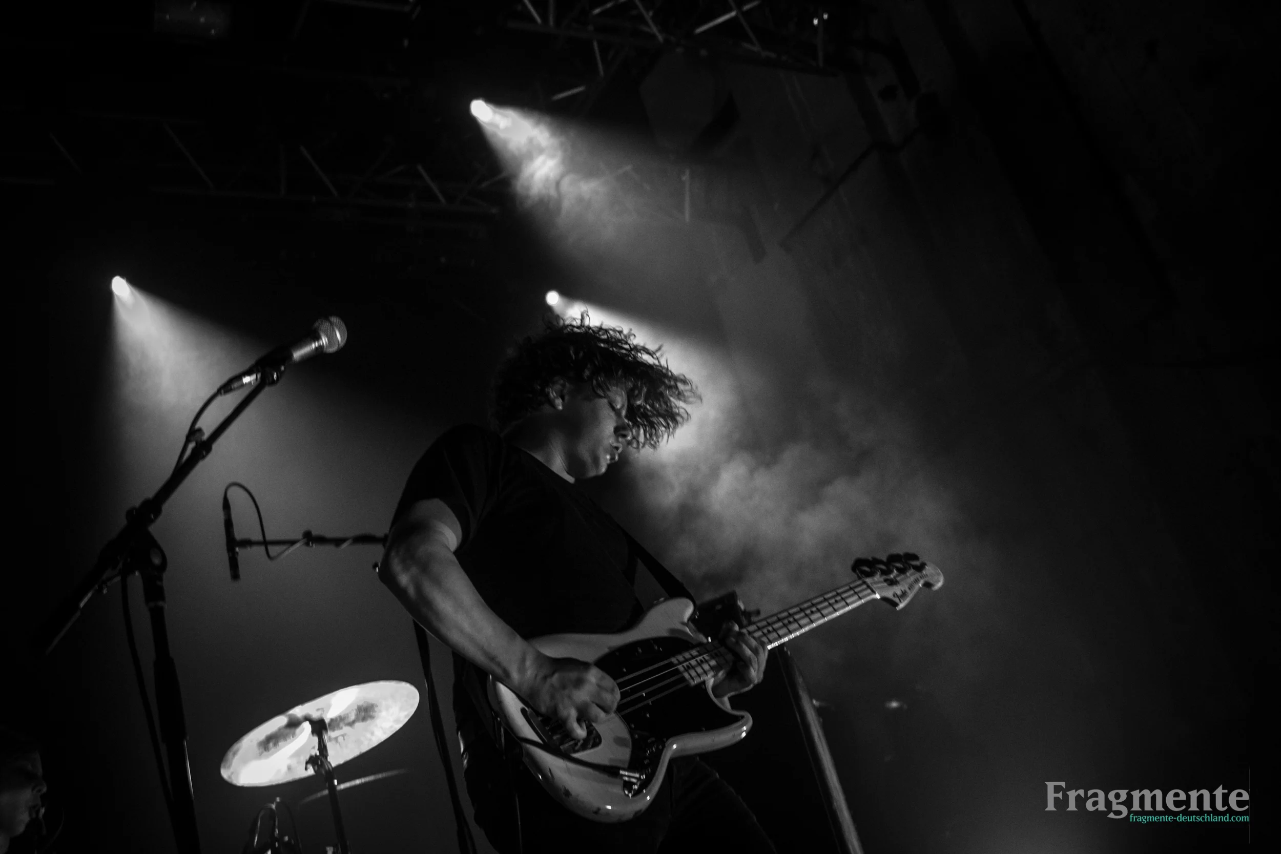 Die Nerven-2808.jpg