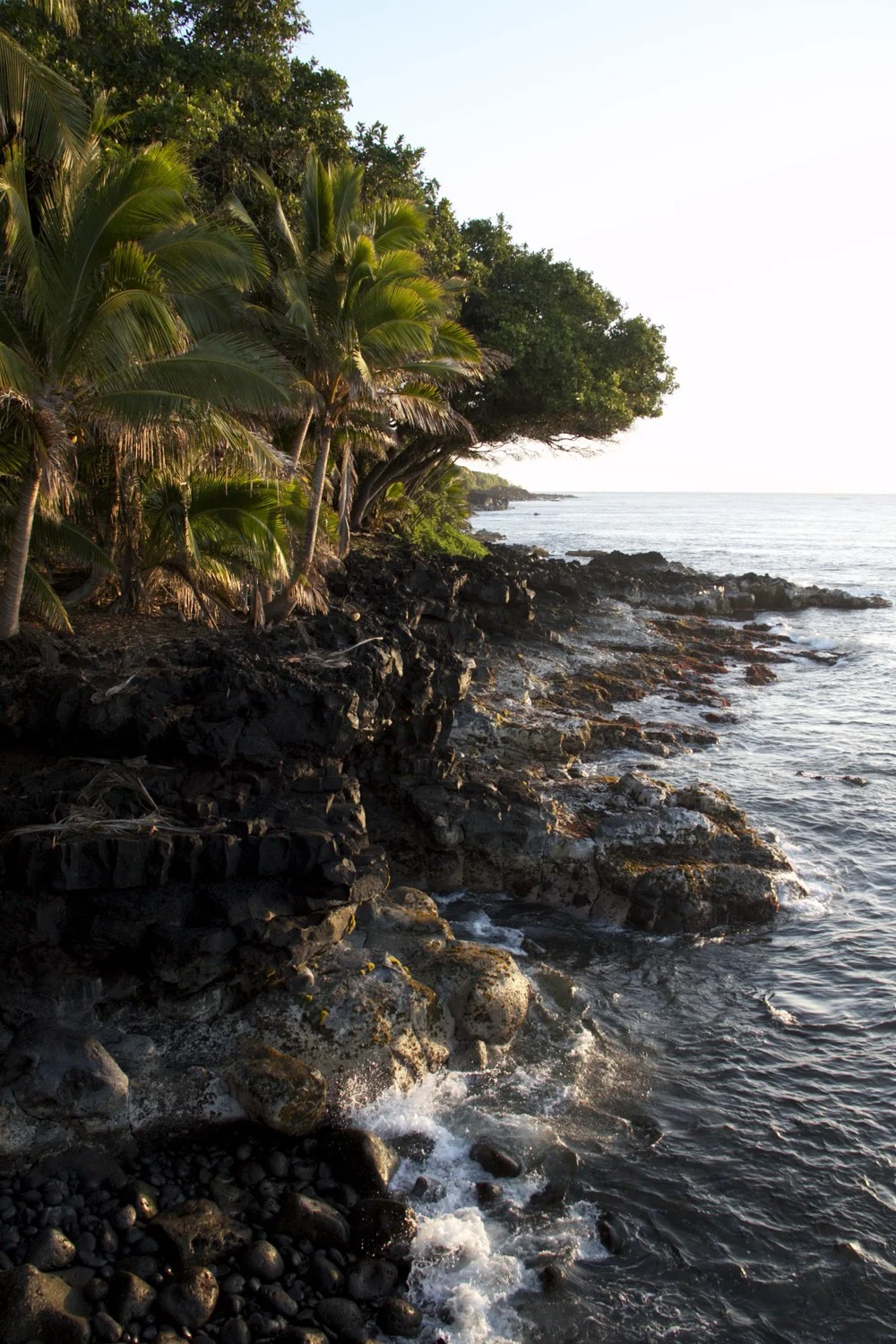 A view from "The Point" across the road from Kalani