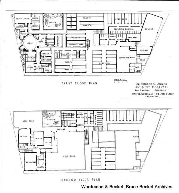 9080 SMB_Wurdeman&Becket_Dog & Cat Hospital interior5_BB72.jpg