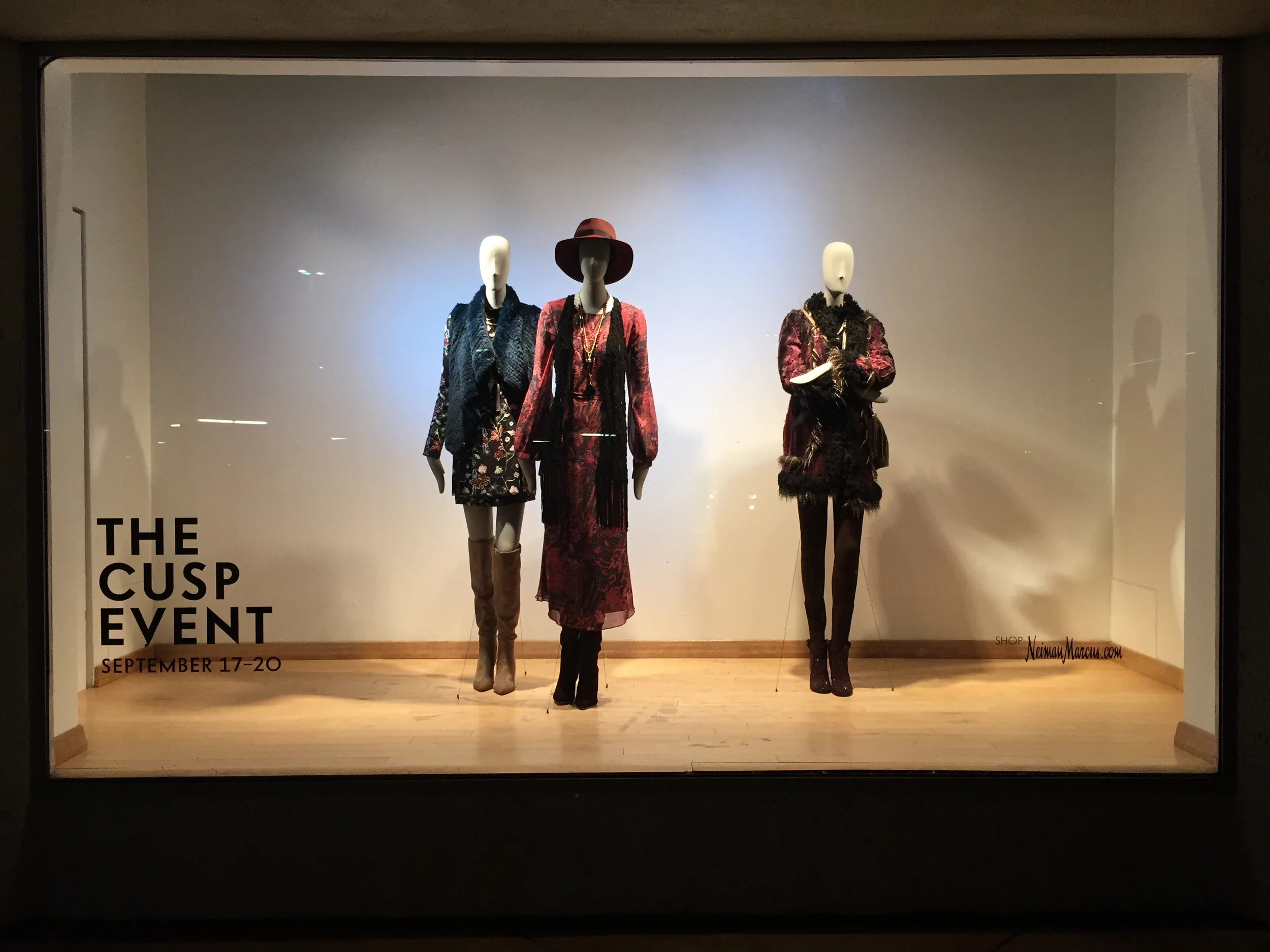 TheCUSPEvent_WindowFall2016.jpg