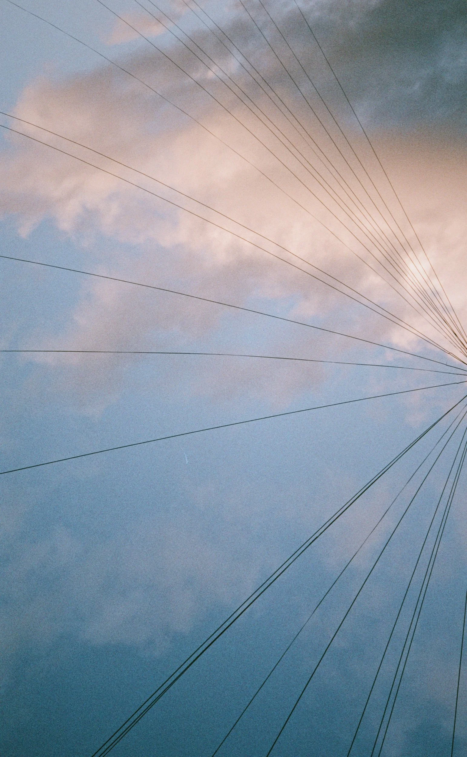 50979DBE-146E-4866-B350-2DBF9ACC82A2-A258883F-0896-482F-9963-5DE70D357B95.jpeg