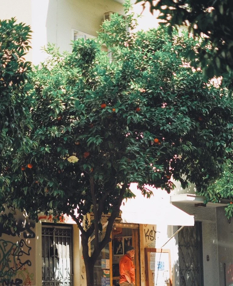 5CBCF61A-CECC-47BF-AE19-DA443554D0B1.jpeg