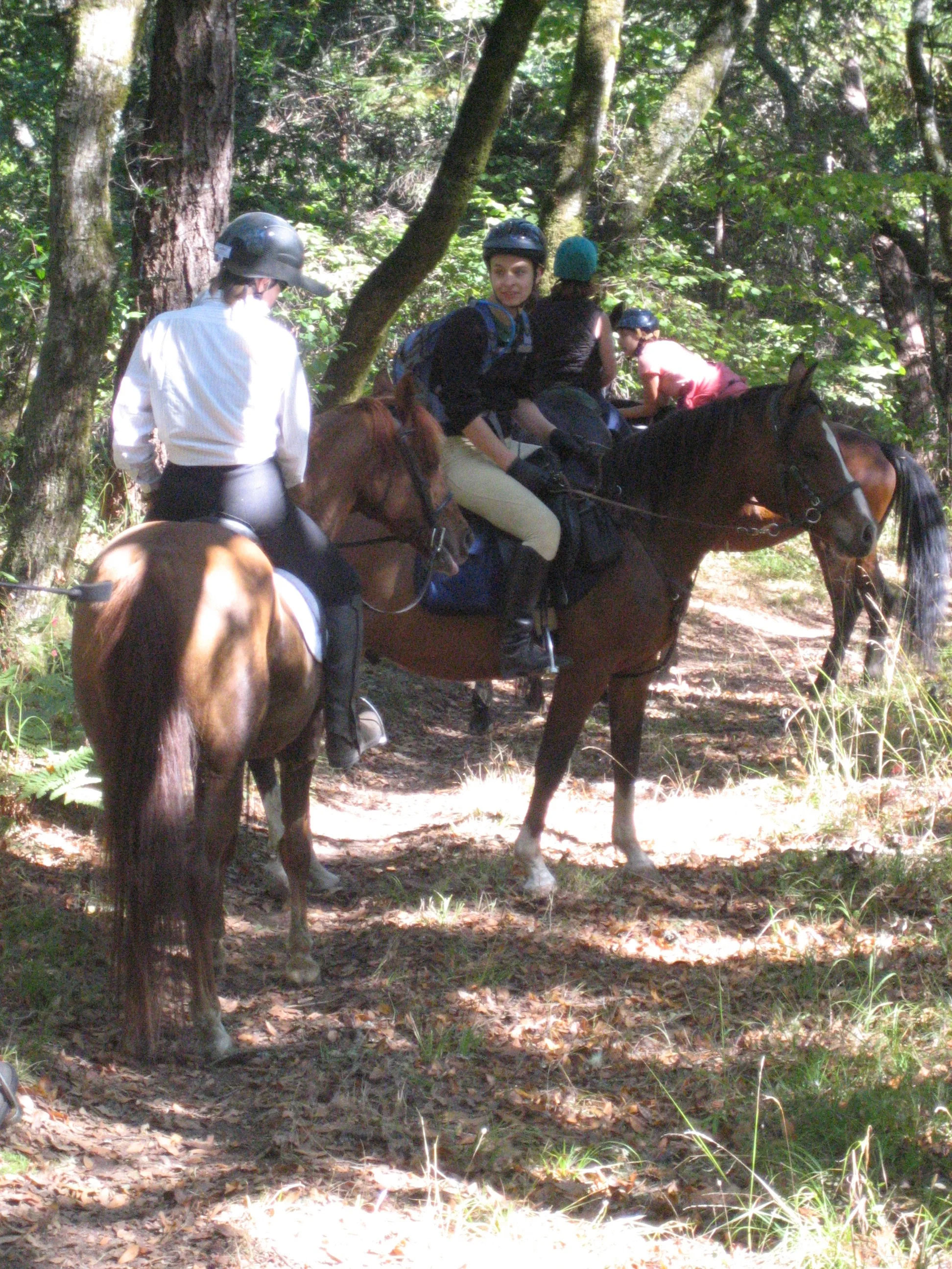 90-minute lesson and trail ride