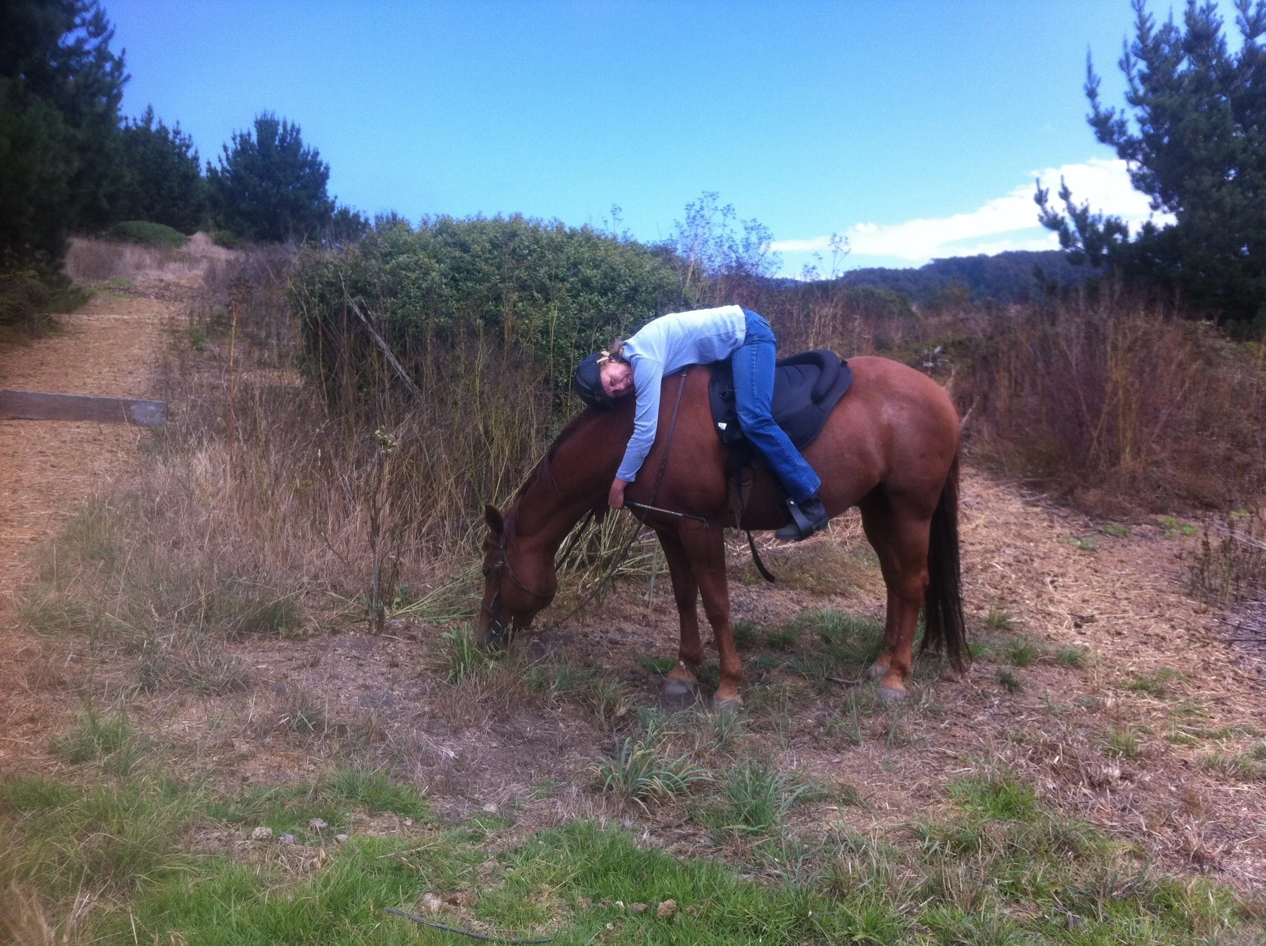 3-hour extended lesson and ride