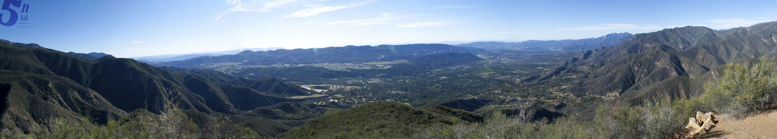 Untitled_Panorama1- twin peaks branded.jpg