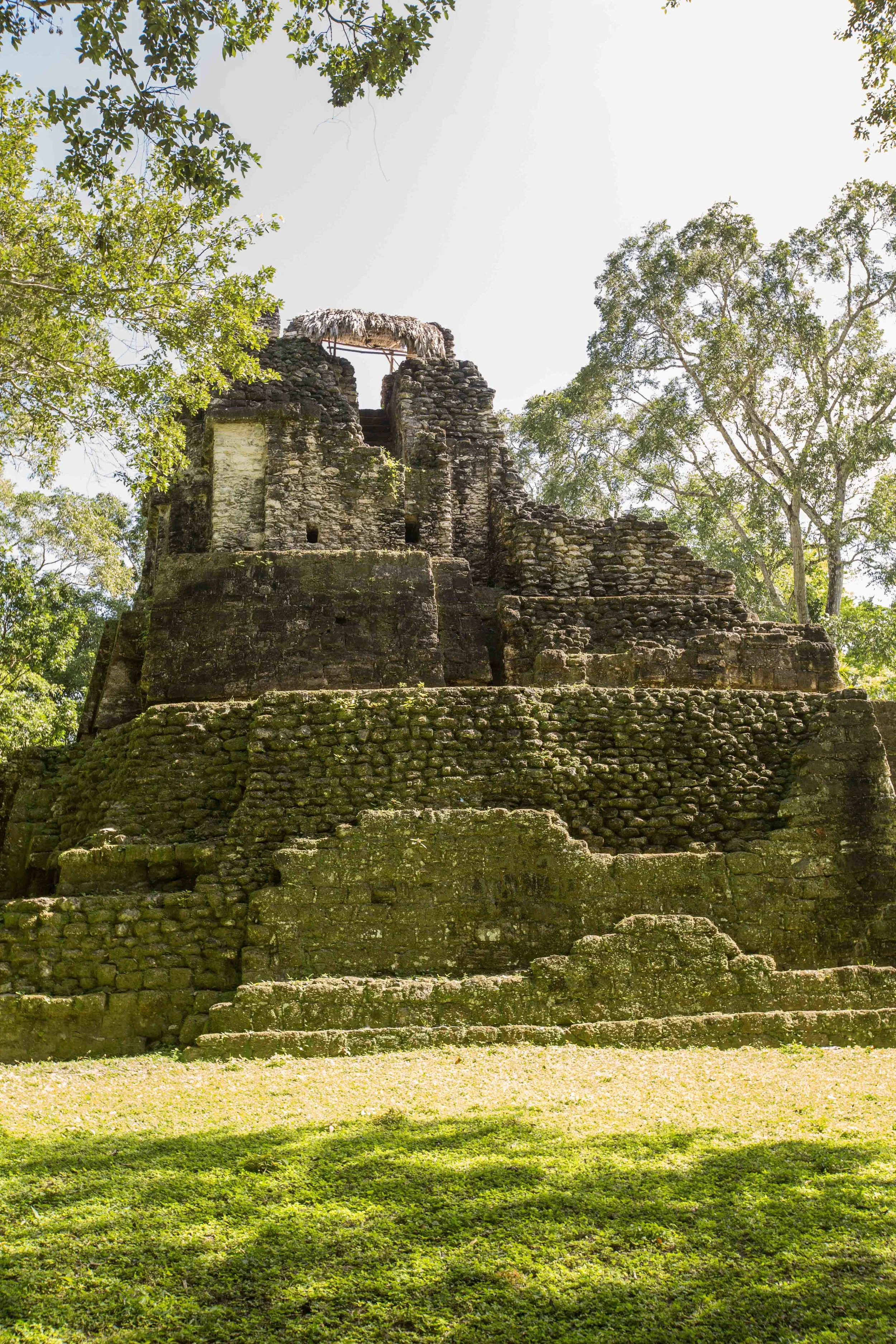 E00A9323.jpg