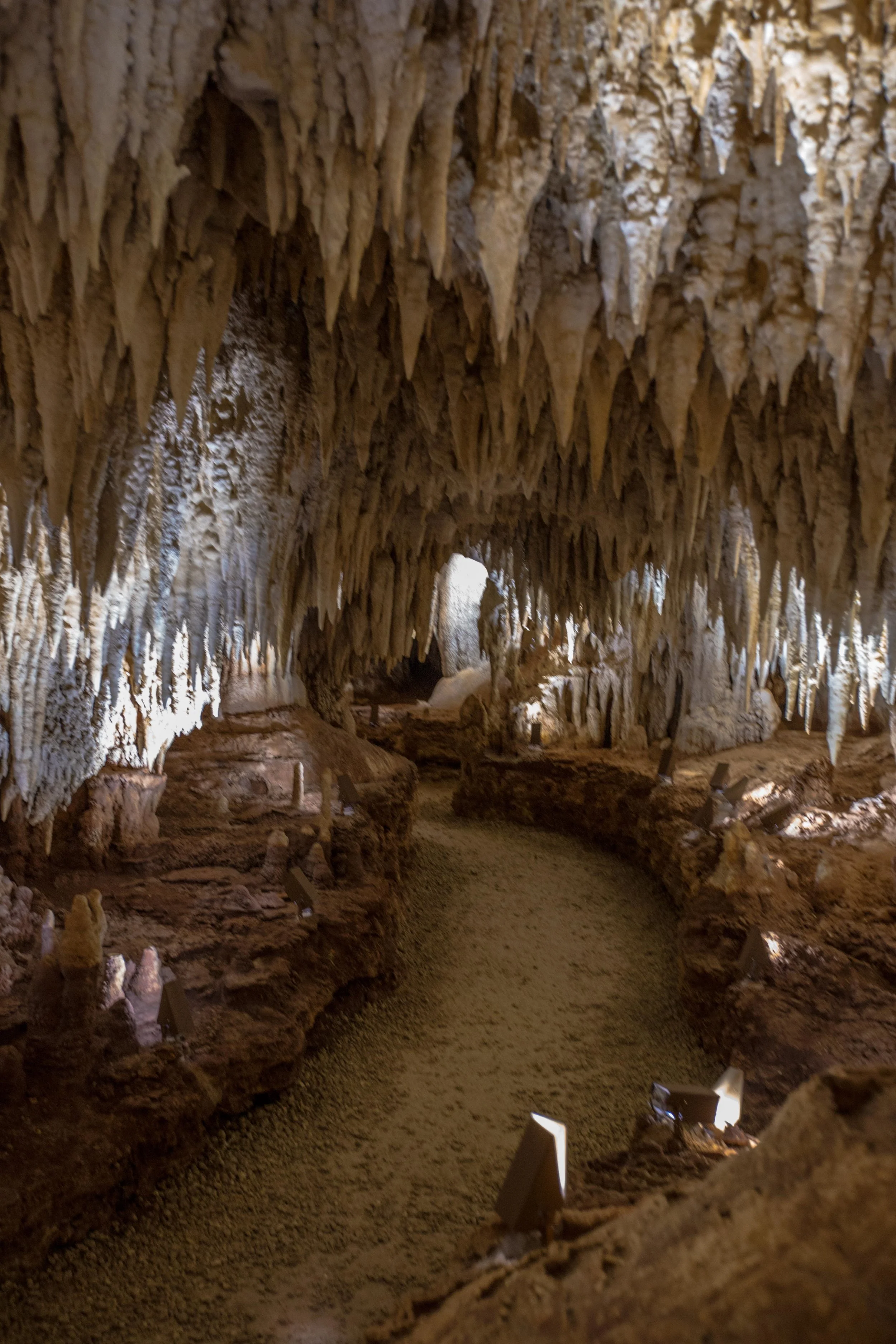 crystal caves cayman tour caribbeansnowflake.com.jpg