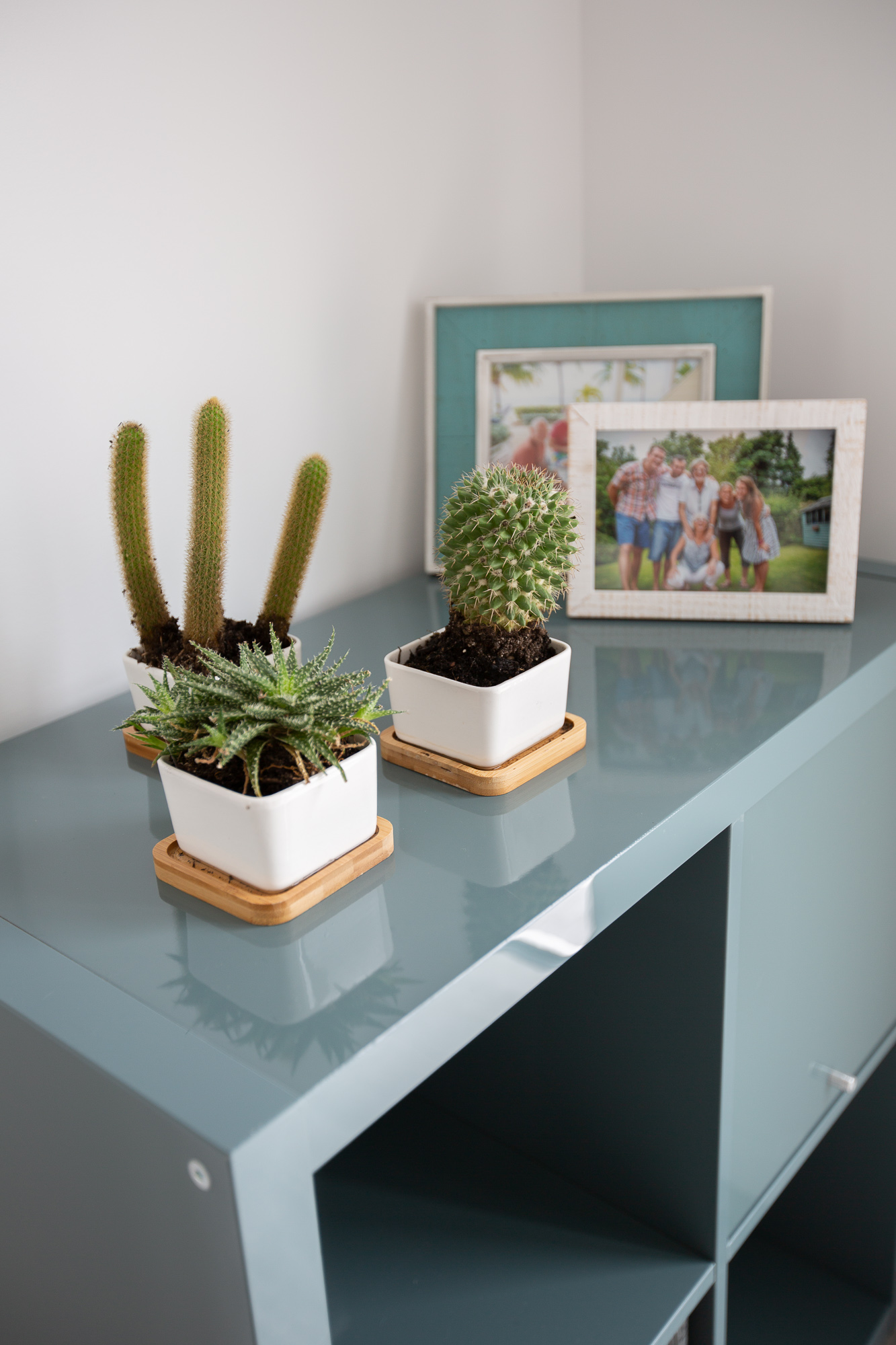 Planters // Storage Unit // Photo Frames // Succulents