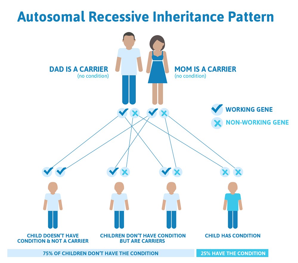 autosomal_recessive_inheritance_pattern.jpg
