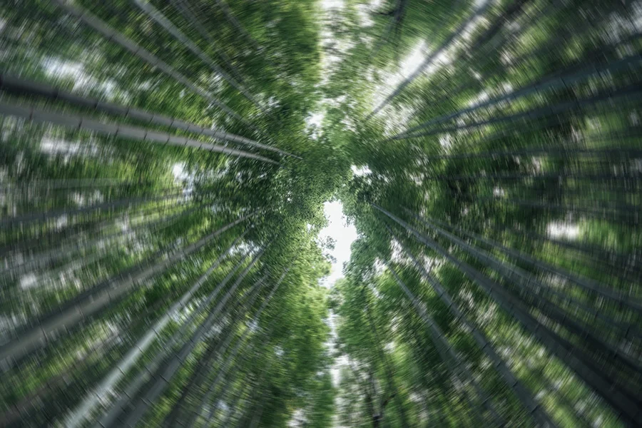 vertigo.jpg