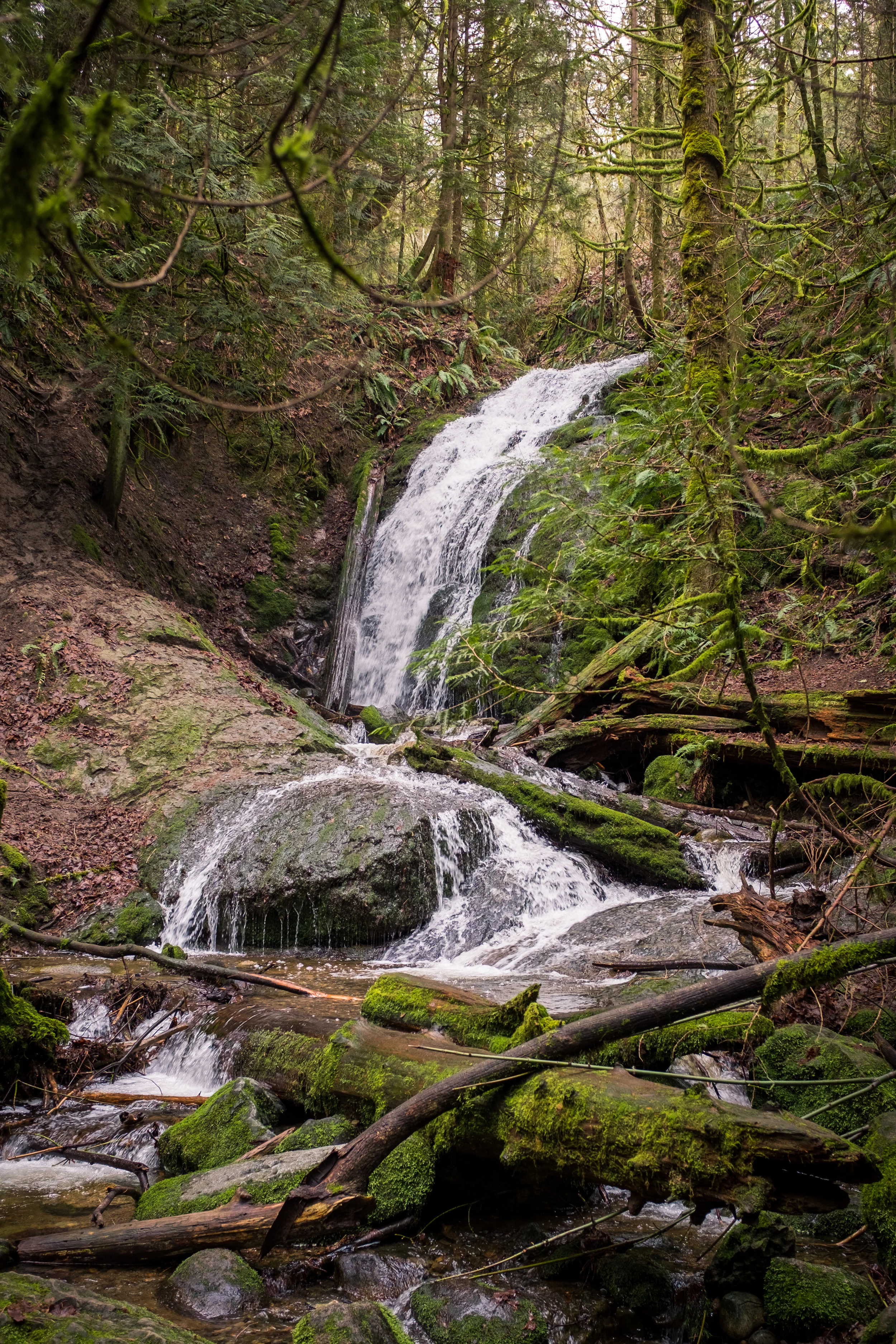DSCF1591.jpg