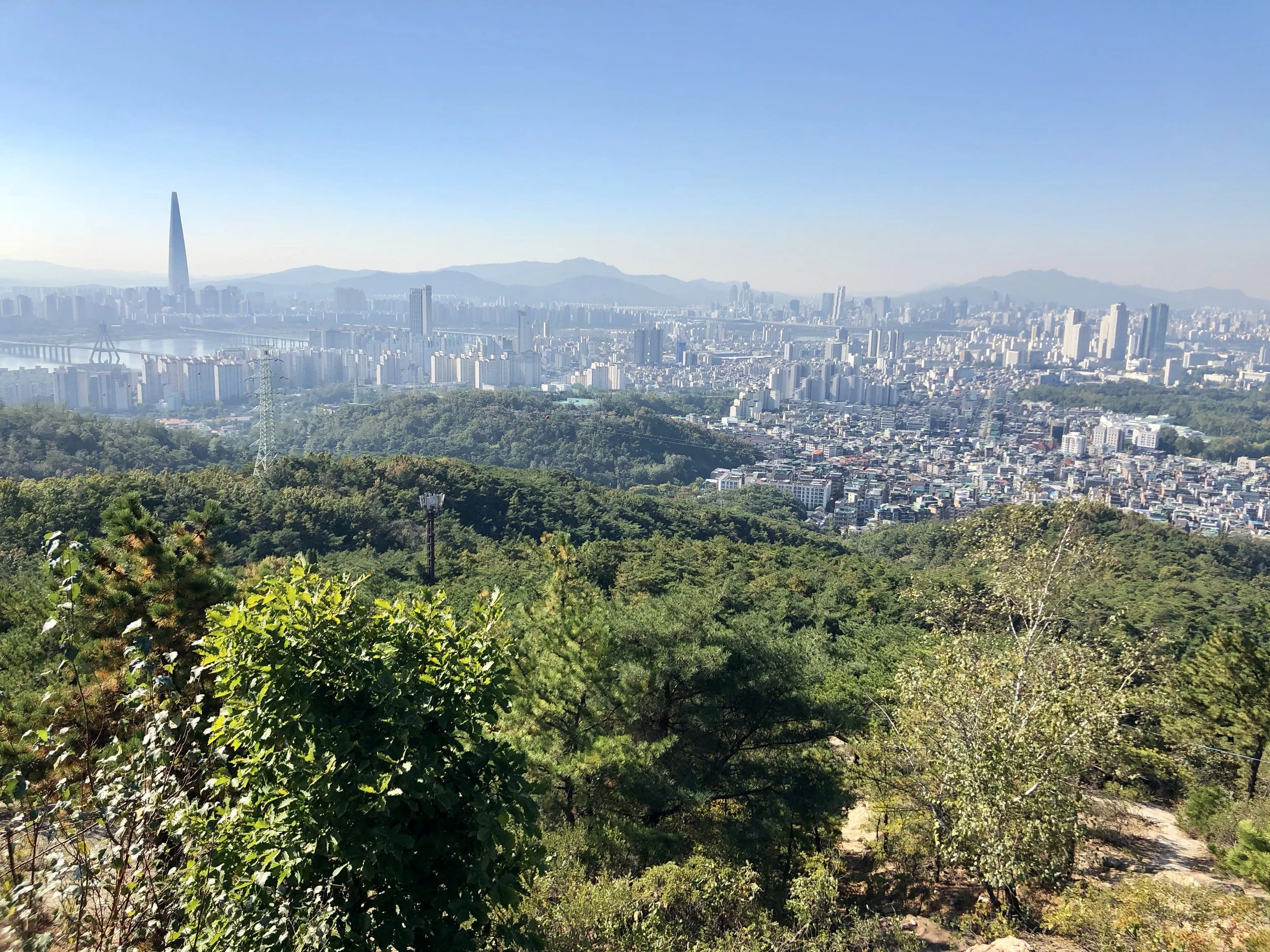 IMG_2767.jpeg