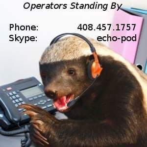 Badger 002.jpg