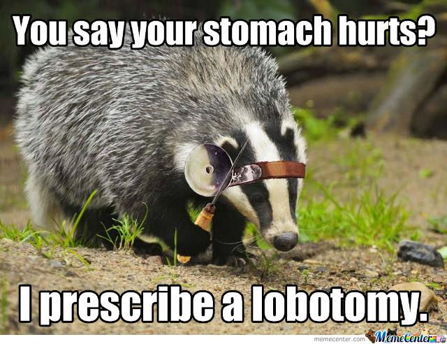Badger 003.jpg