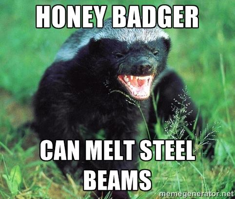 Badger 007.jpg